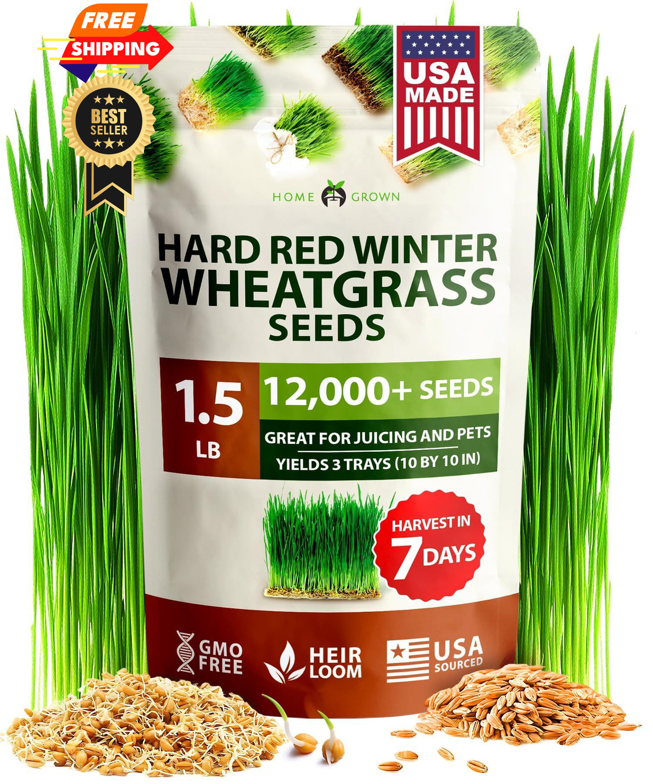 HOME GROWN Hard Red Winter Wheatgrass Seeds 12,000+ Bulk 1.5 lb 1-Pack, Multi