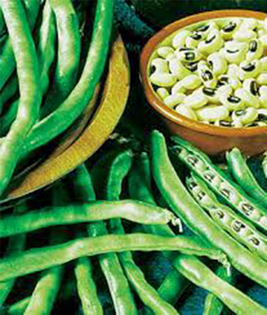 PEA SEED, CALIFORNIA BLACK EYE PEAS, HEIRLOOM, NON GMO, 100 SEEDS, PEAS