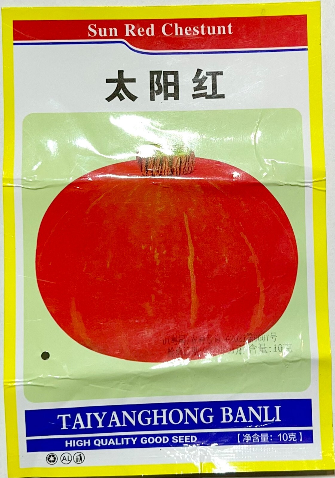 12+ Sweet Chestnut Flavor Red Pmpkin Seeds 太阳红板栗南瓜，2023年最新！
