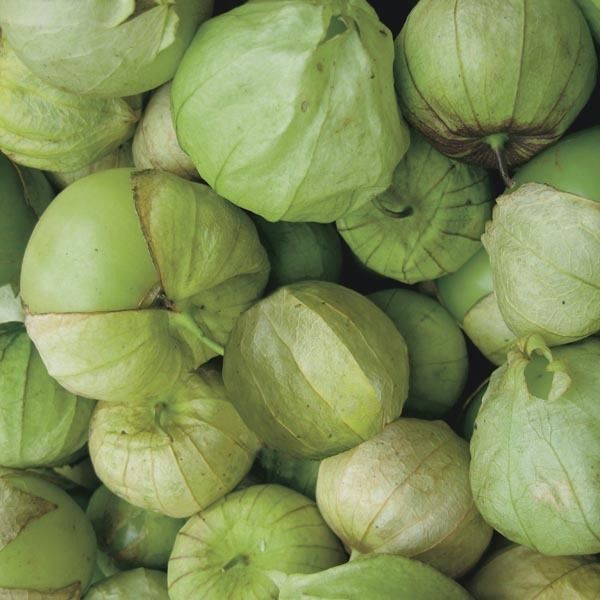 Tomato Tomatillo toma Verde (Lycopersicon Esculentum) Heirloom 200 Seeds