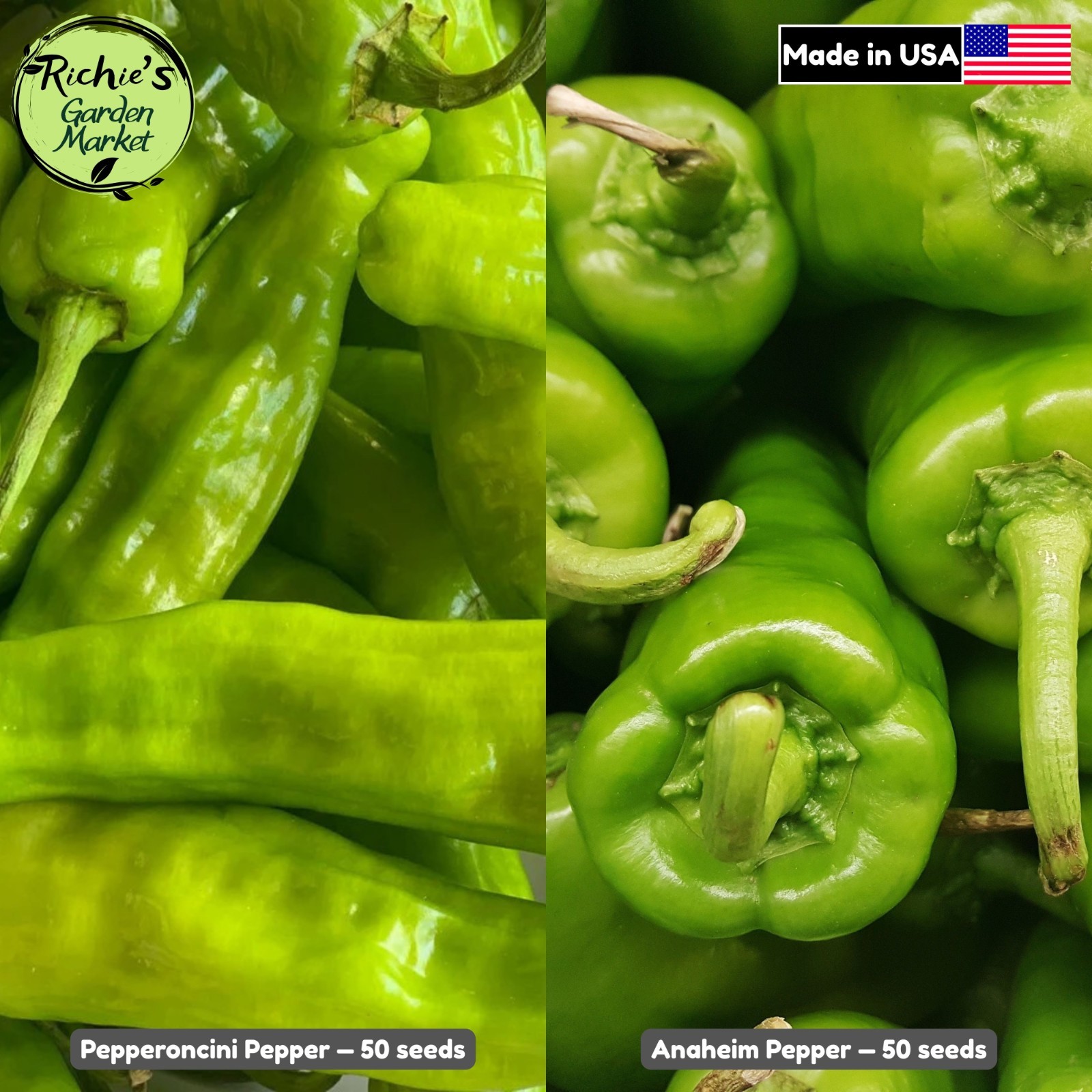 2 Mild Heat Pepper Seeds Duo for Pickling, Pepperoncini and Anaheim, Non-GMO