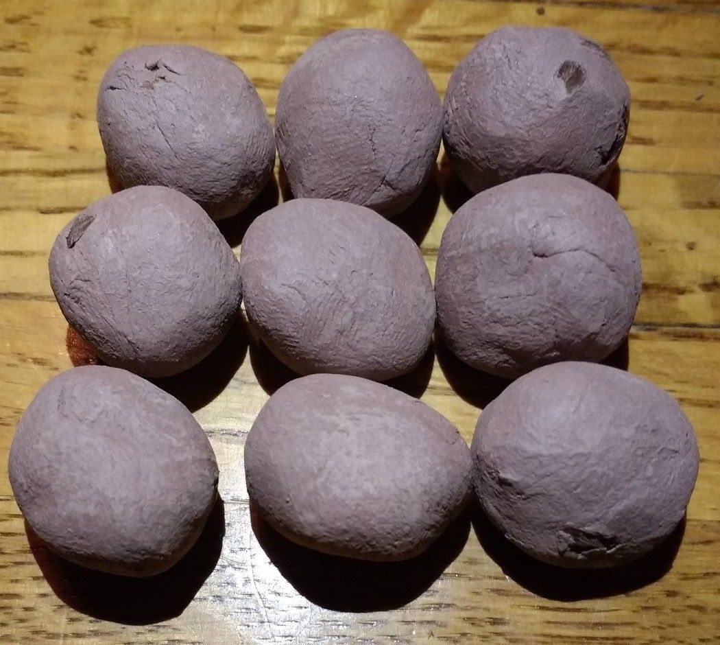 1000 Common Milkweed clay Seed Balls, Asclepias syriaca 2022 crop 90%germination