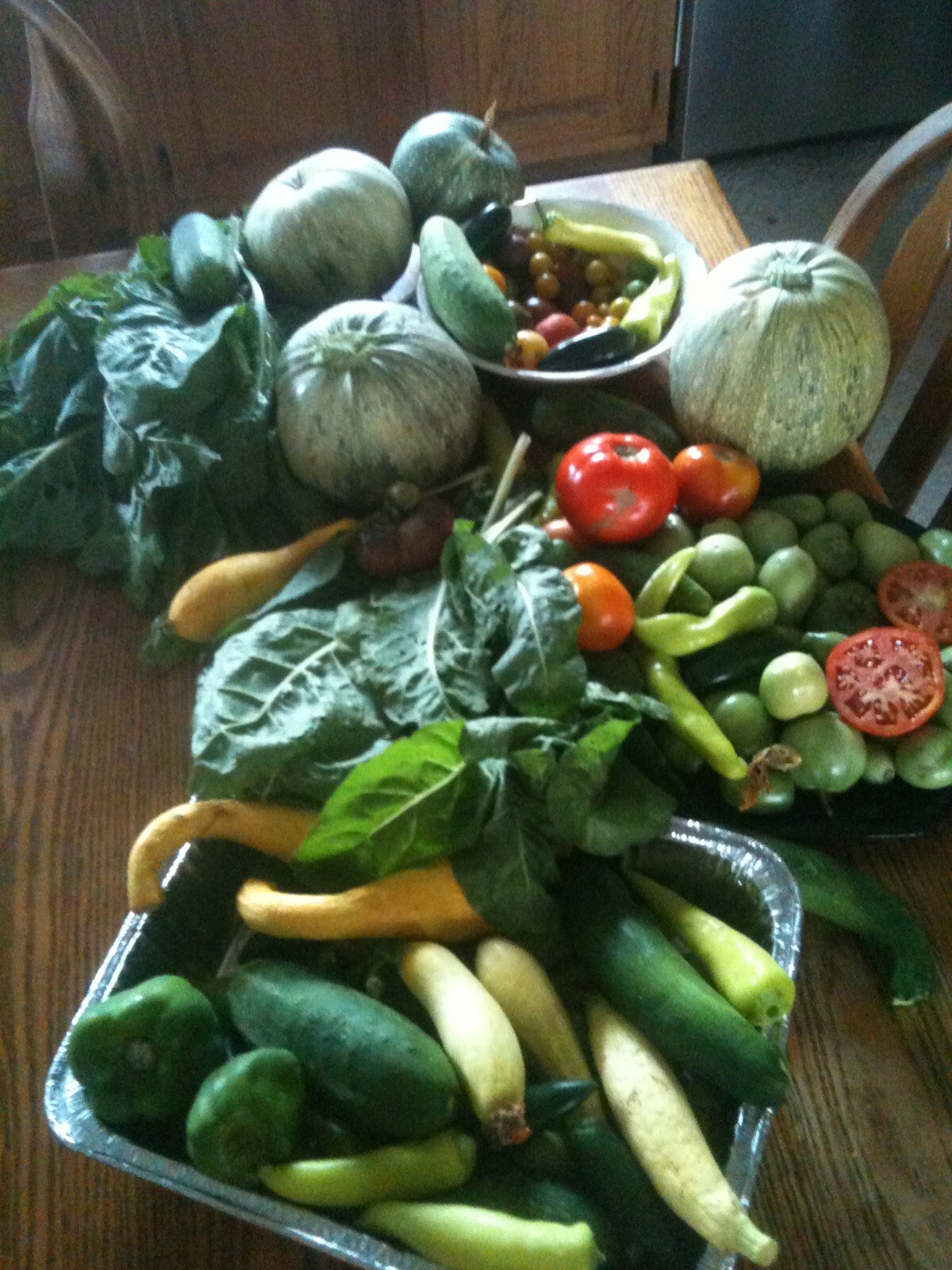 52,000+ Garden/Survival Seed Cache 121 Heirloom Varieties! WITH $30 HERB PACK