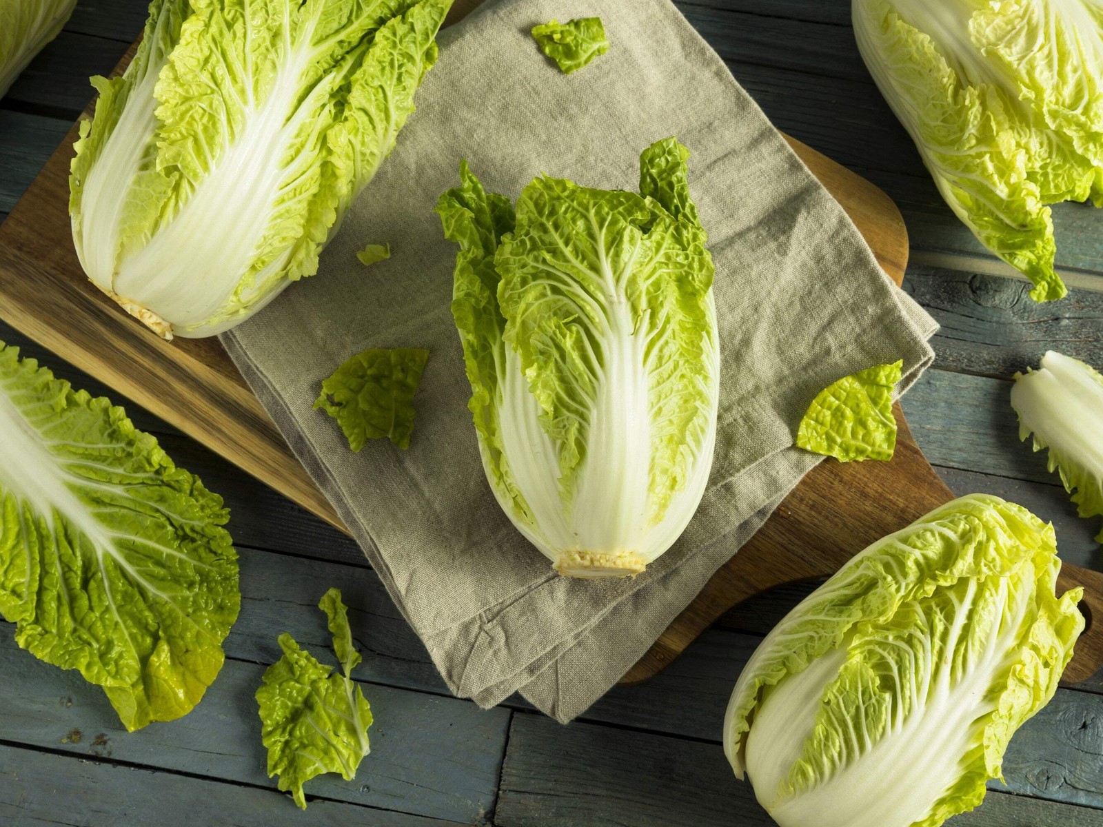 500 MICHIHILI CABBAGE Chinese Chard / Bok Choy / Pak Choi / Celery Mustard Seeds