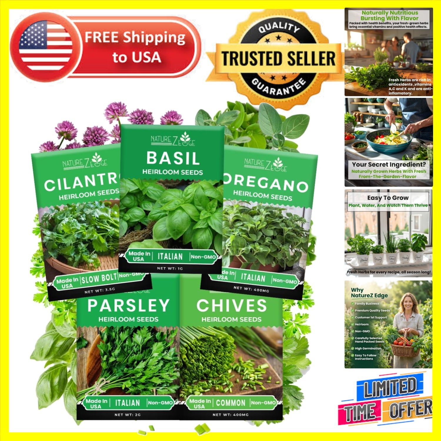 5 Variety Herb Seeds for Indoor & Outdoor Gardens – Gift of Flavor