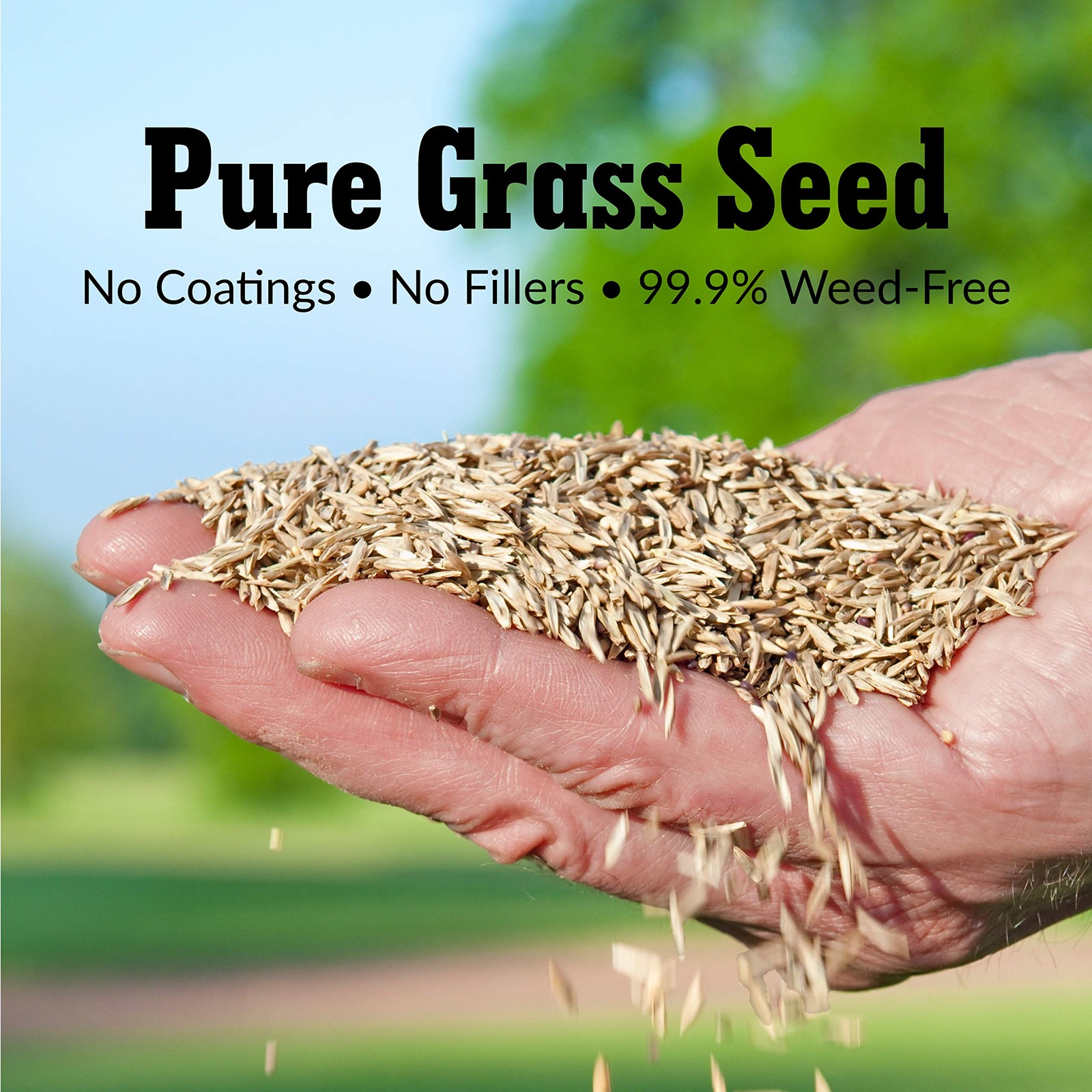 Greenview Pure Grass Seed Sun Mixture 20 Lb. Bag Up To 10000 Sq. Ft. 2829338