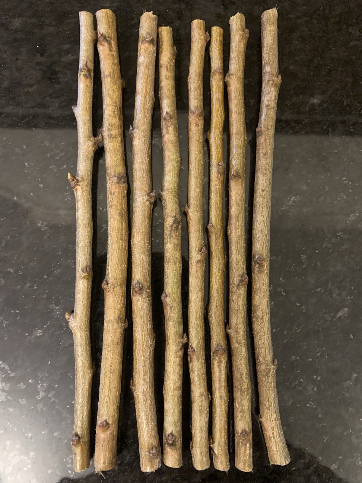 3 Methley plum cuttings/scions