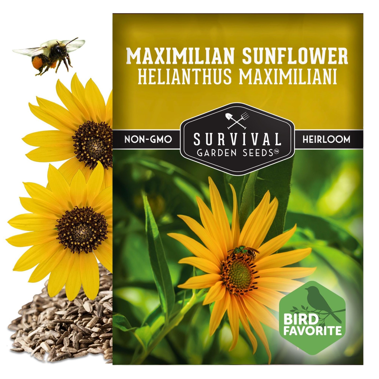 Maximilian Sunflower Seeds for Planting (Helianthus maximiliani) | 10-Foot Pr…