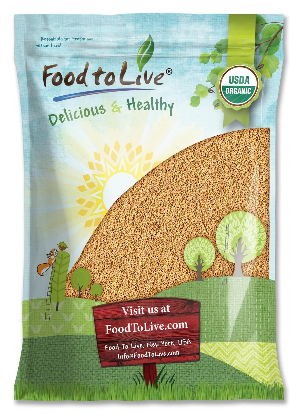 Organic Clover Sprouting Seeds – Non-GMO, Kosher, Vegan, Raw – by Food to Live