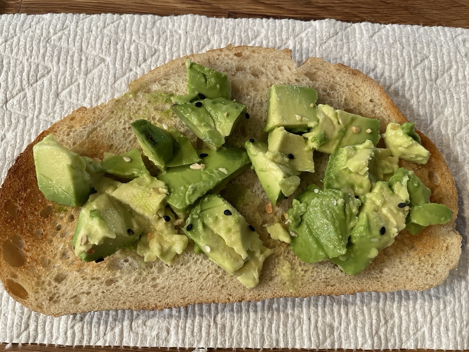 California AVOCADO SCION CUTTING FOR GRAFTING. (4 Pieces)