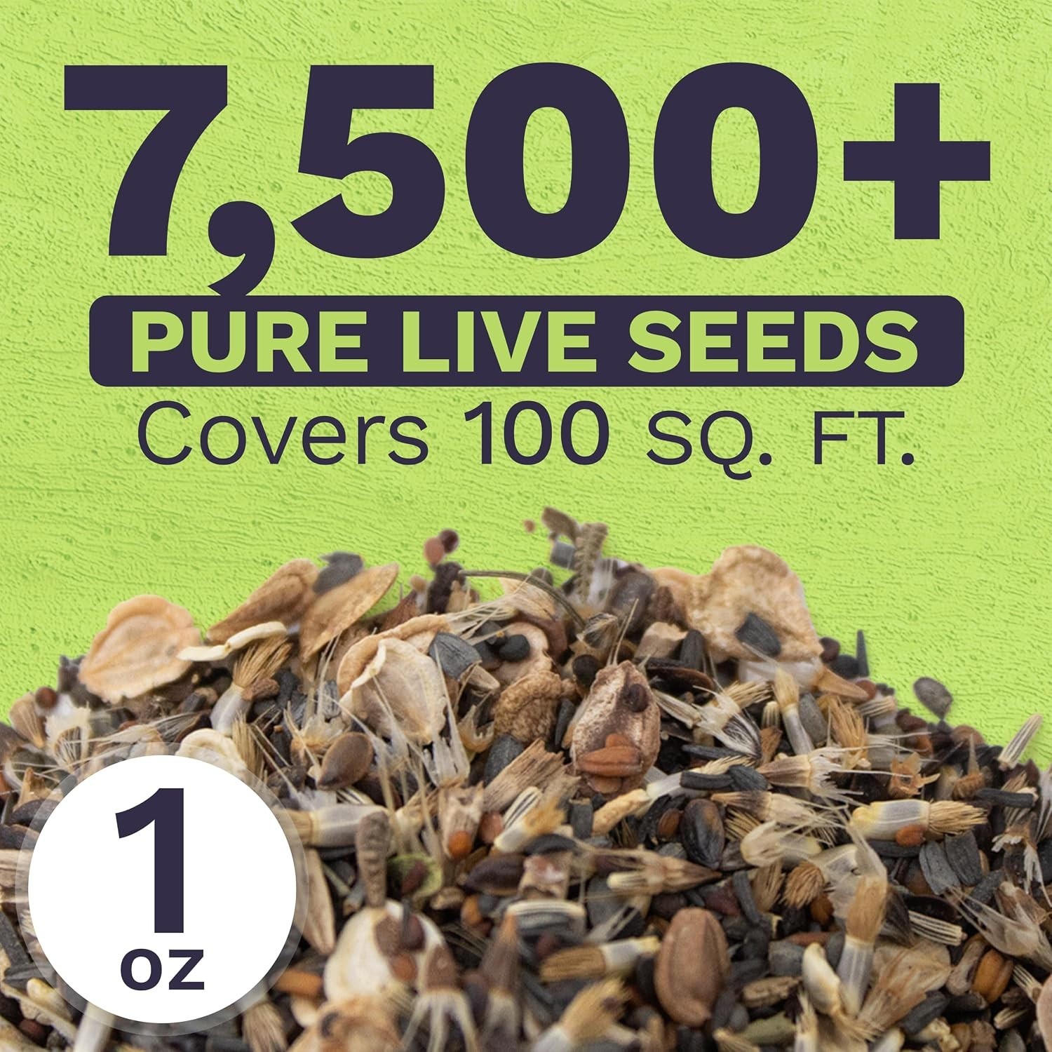 Drought Tolerant Wildflowers Mix – Extra Large Packet – Over 7,500 Open Polli…