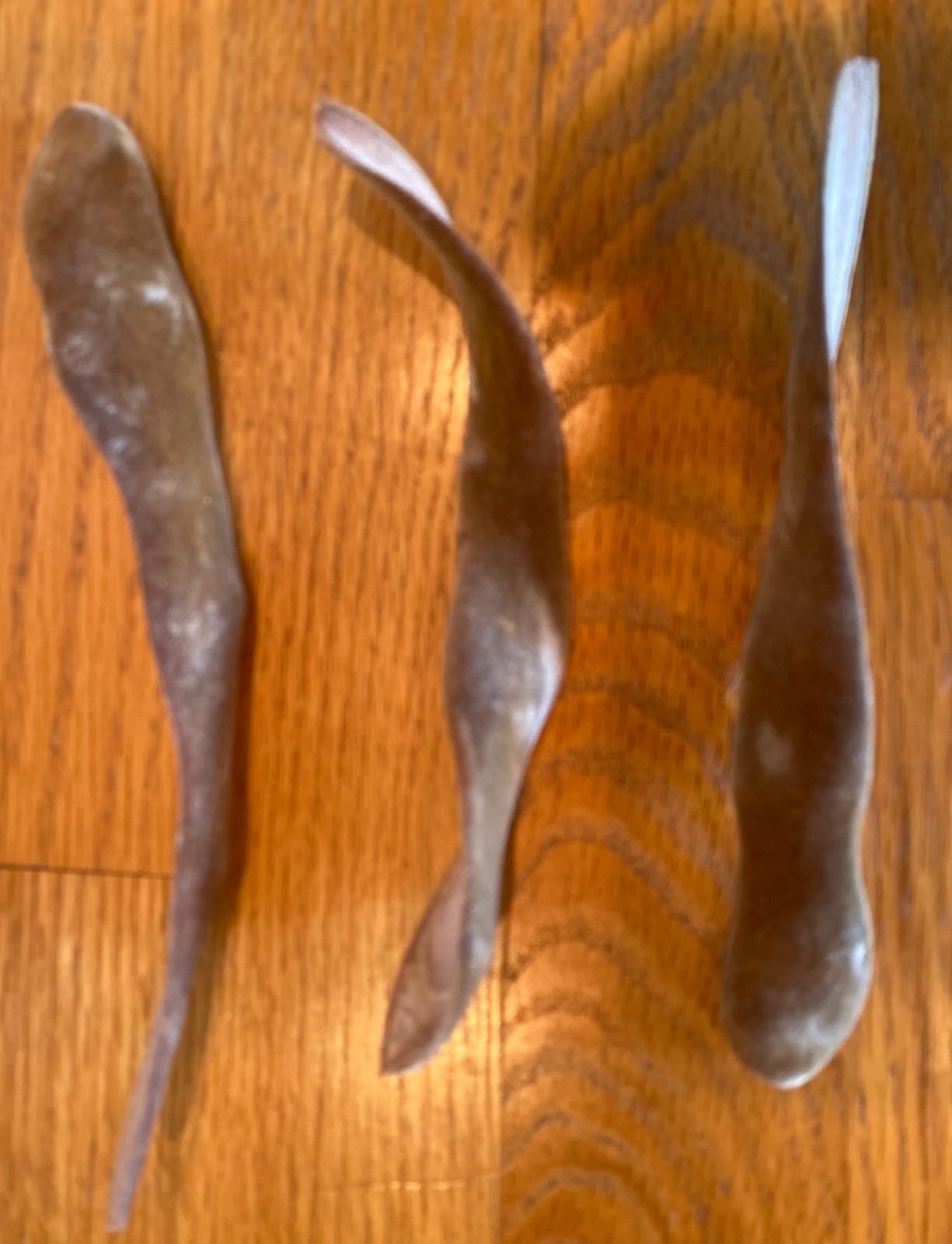 100+ Organic Velvety Wisteria Seed PODS for Decorating/Floral Supply
