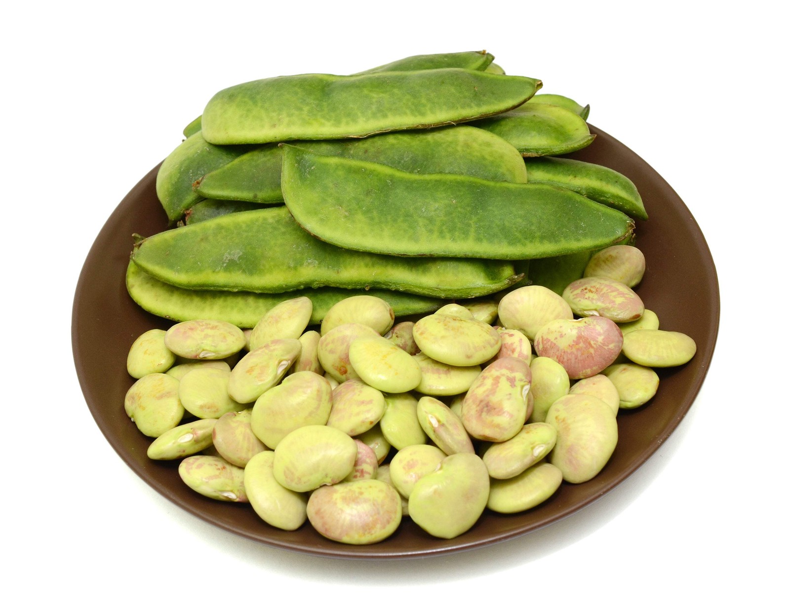 50 WHITE DIXIE LIMA BEAN Butterpea Phaseolus Vulgaris Vegetable Seeds *Comb S/H