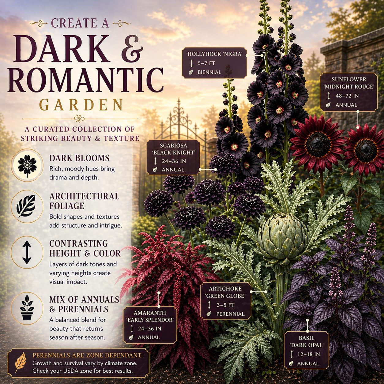 Ravens Hollow Garden Gothic Garden Seed Collection, 6 Open-Pollinated Flower & F