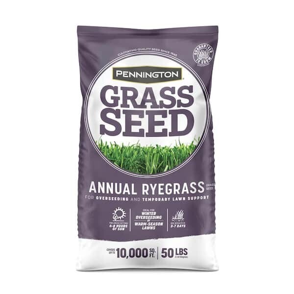 50 lb. Annual Ryegrass Seed – Covers 10,000 sq. ft., Fast-Growing Lawn