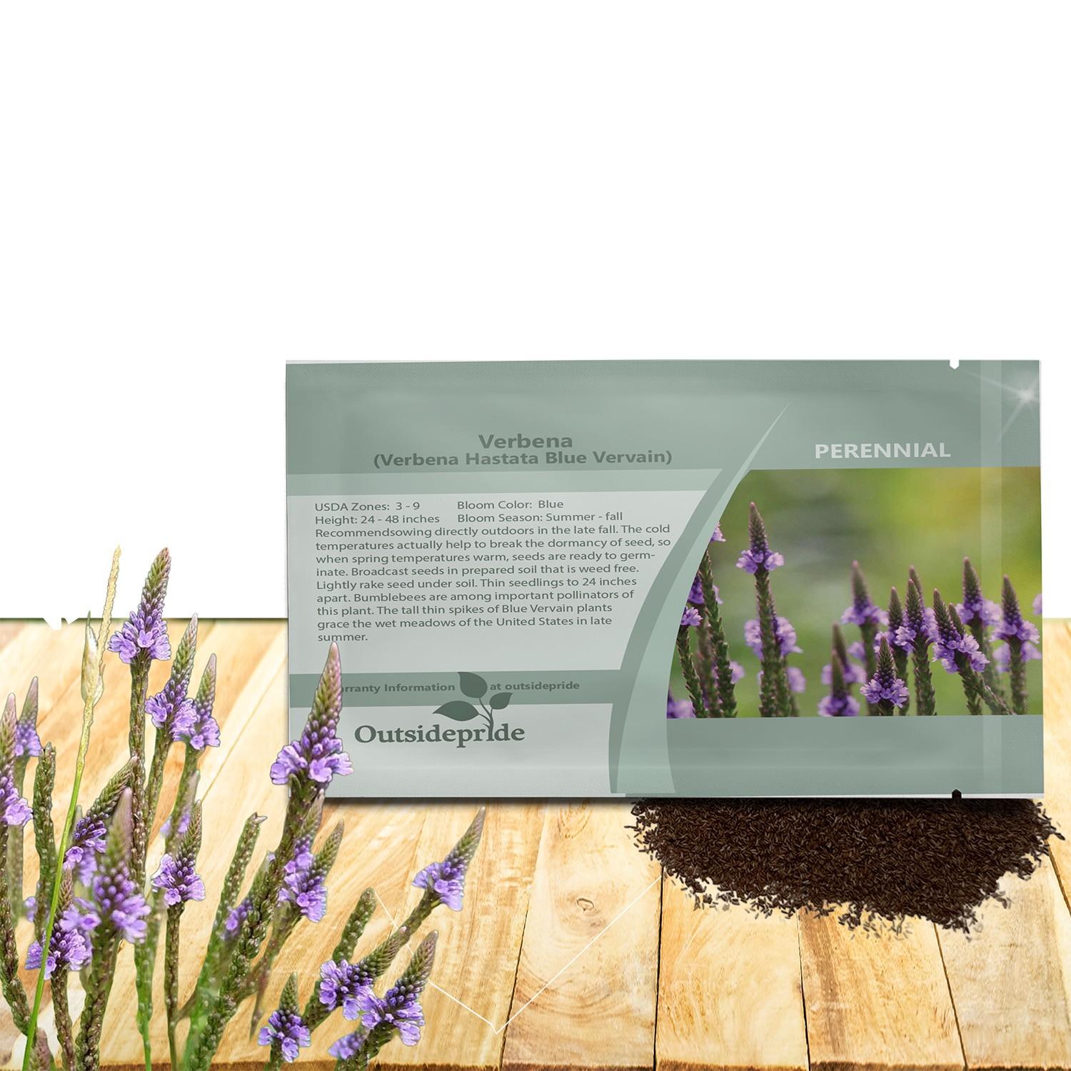 5000 Seeds Drought Tolerant Verbena Hastata Blue Vervain Garden Flower Plant