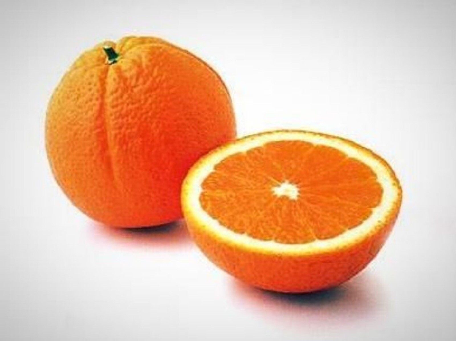 California only! Robertson Navel Orange Tree 36″-48″ tall, grafted