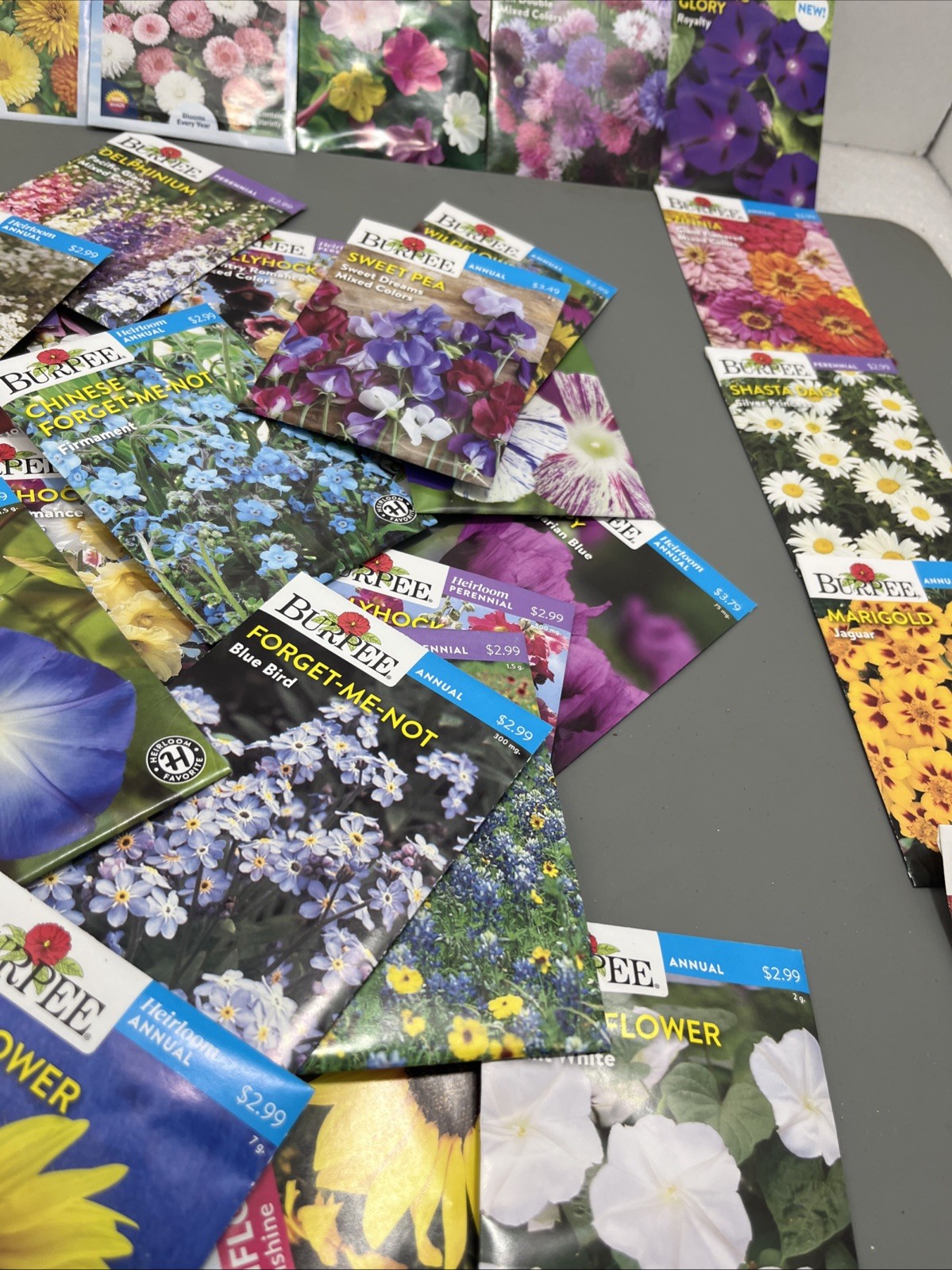 Flowers annual perennial Plant Seeds (Assorted Lot of 100) sell by 11/26 Garden