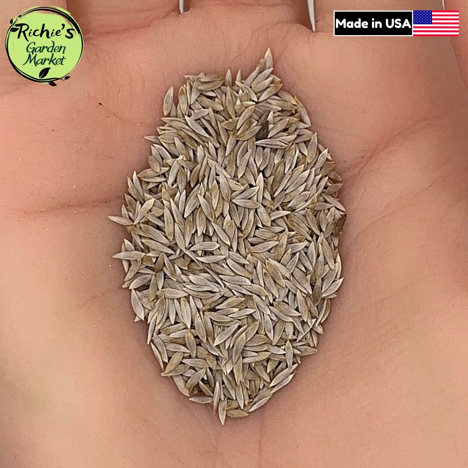 Lettuce Seeds, Romaine Paris, Non-GMO, Heirloom Variety, Organic, Free Shipping