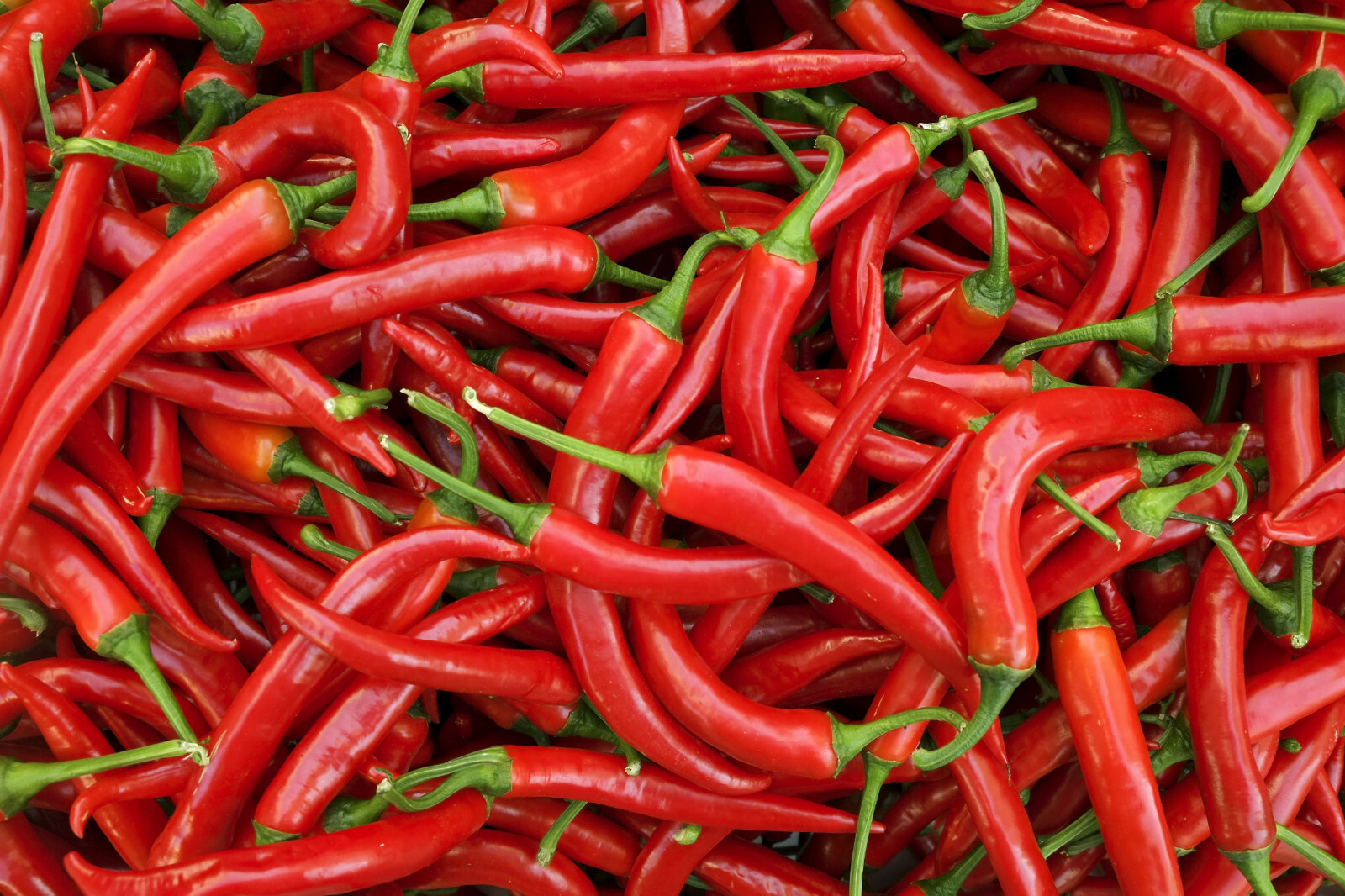 Hot Cayenne Pepper Seeds (30) | Heirloom & Non-GMO | ORGANIC