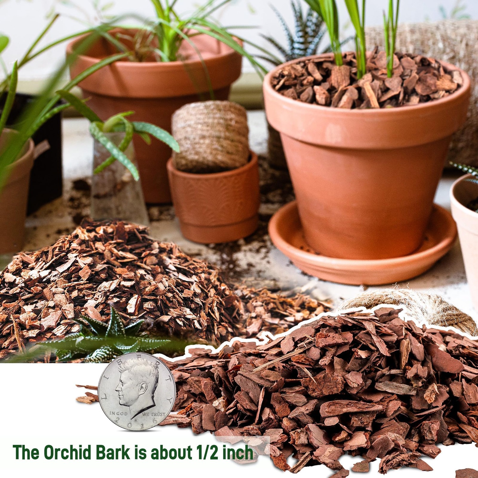 3qt Organic Orchid Potting Bark -Natural Mulch for Potted Plants, 3qt, Small