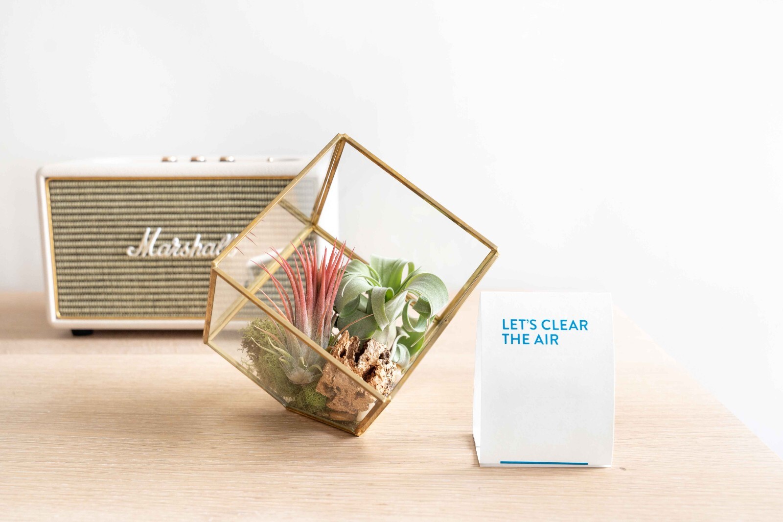 Heptahedron Air Plant Terrarium Kit – Red Abdita & Ionantha – Indoor & Outdoor
