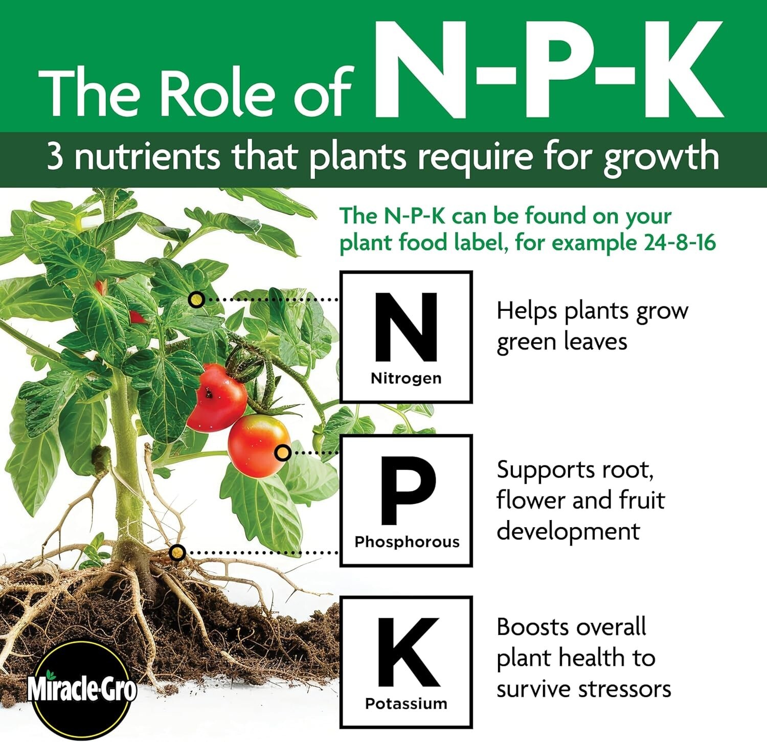 Nutrient-Rich Tree & Shrub Plant Food Spikes – Perfect for Spring & Fall Care