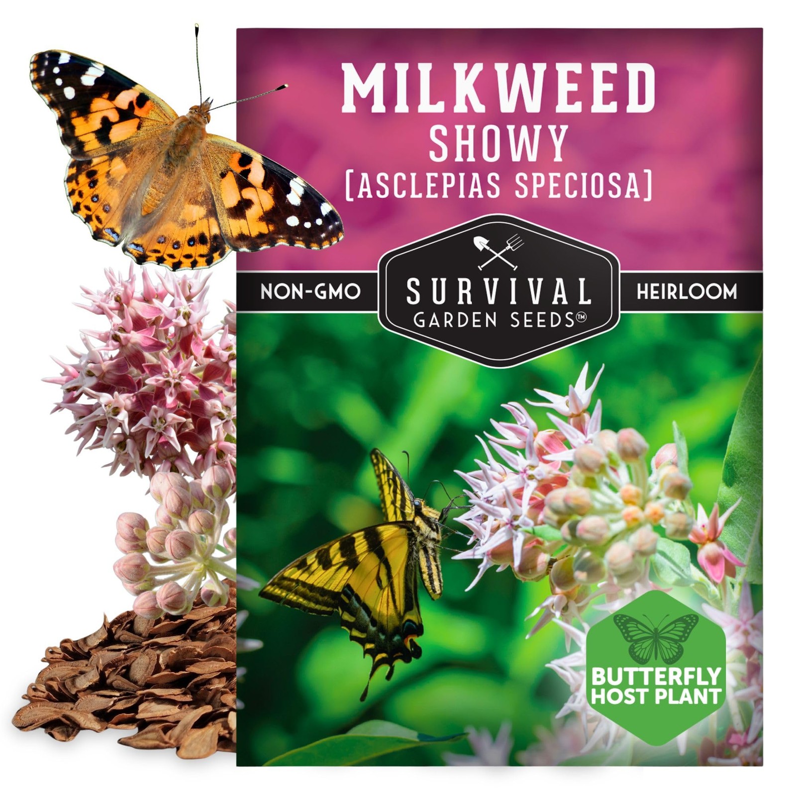 Showy Milkweed Seeds for Planting | Asclepias speciosa | Monarch Pink