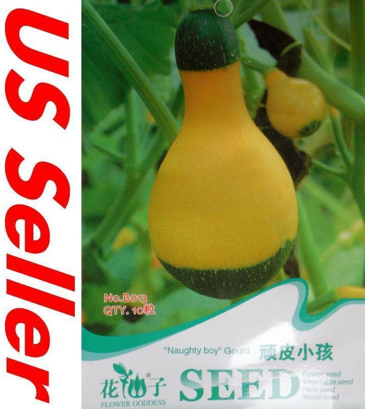 10 Seeds Naughty Boy Gourd E132, Garden Vegetable Seeds