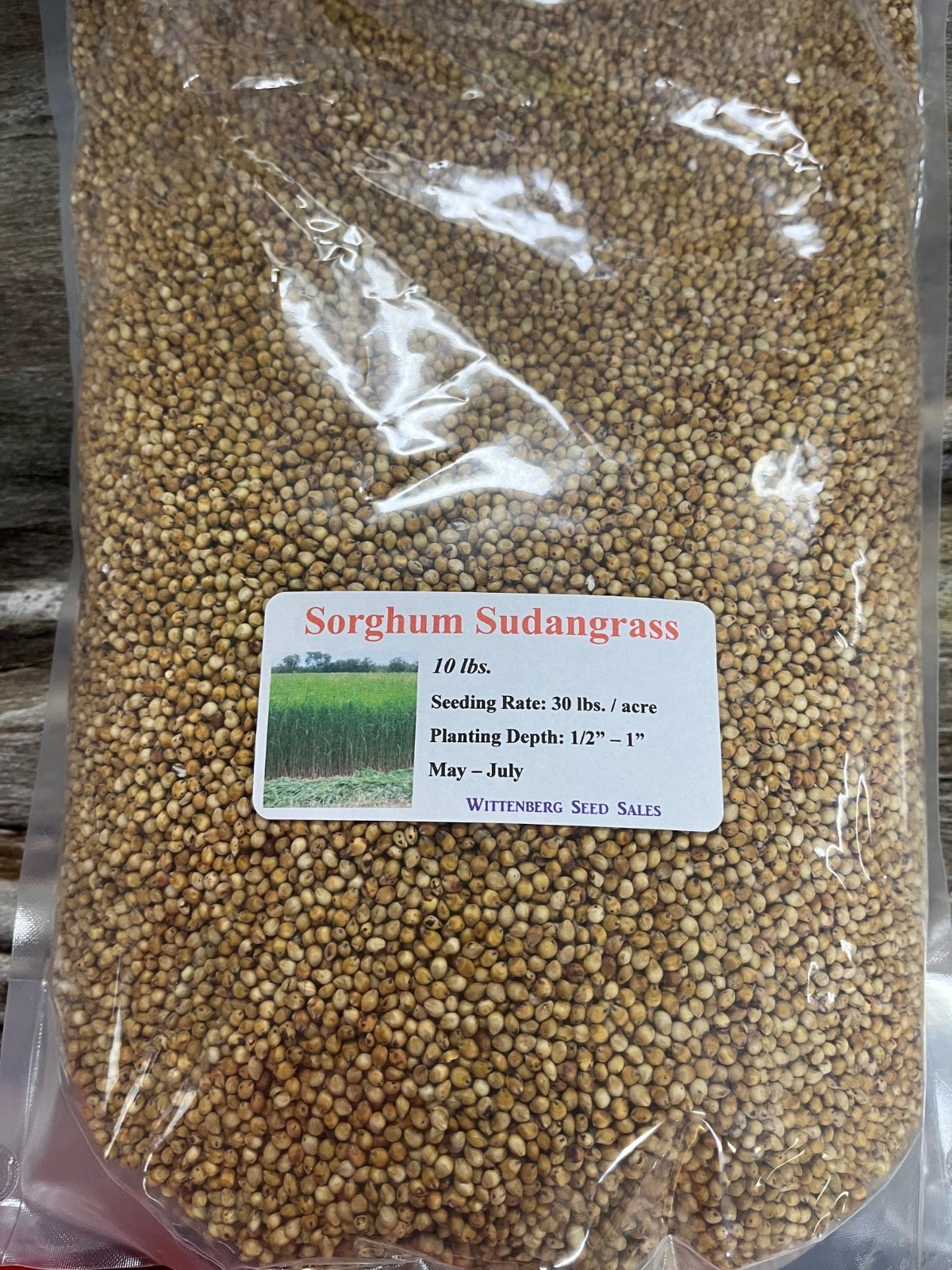 10 lbs Sorghum Sudangrass Seed – Deer Food Polt / Wildlife Seed