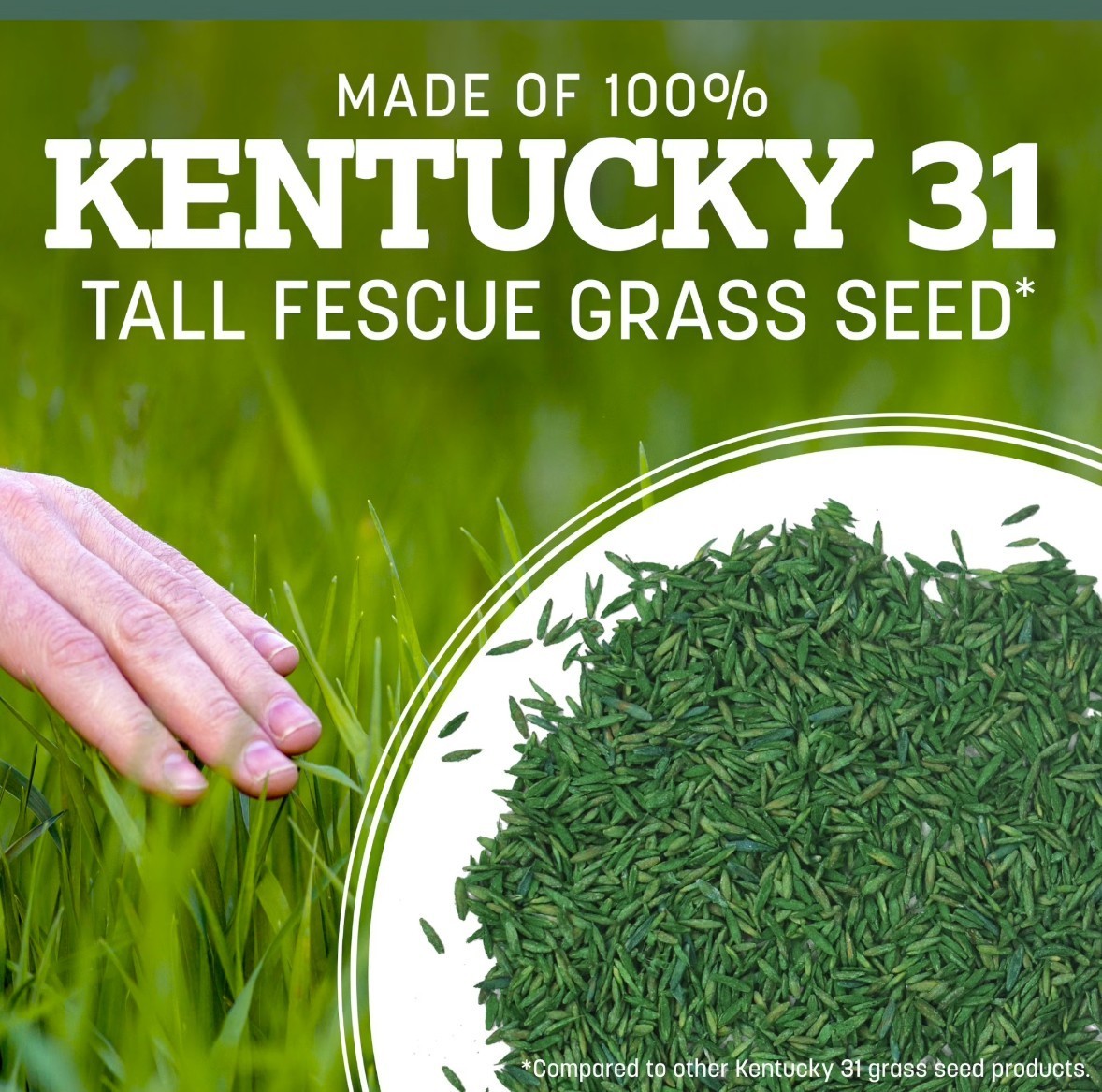[FASH SALE] Pennington Kentucky 31 Tall Fescue Grass Seed Sun/Partial Shade 7 lb