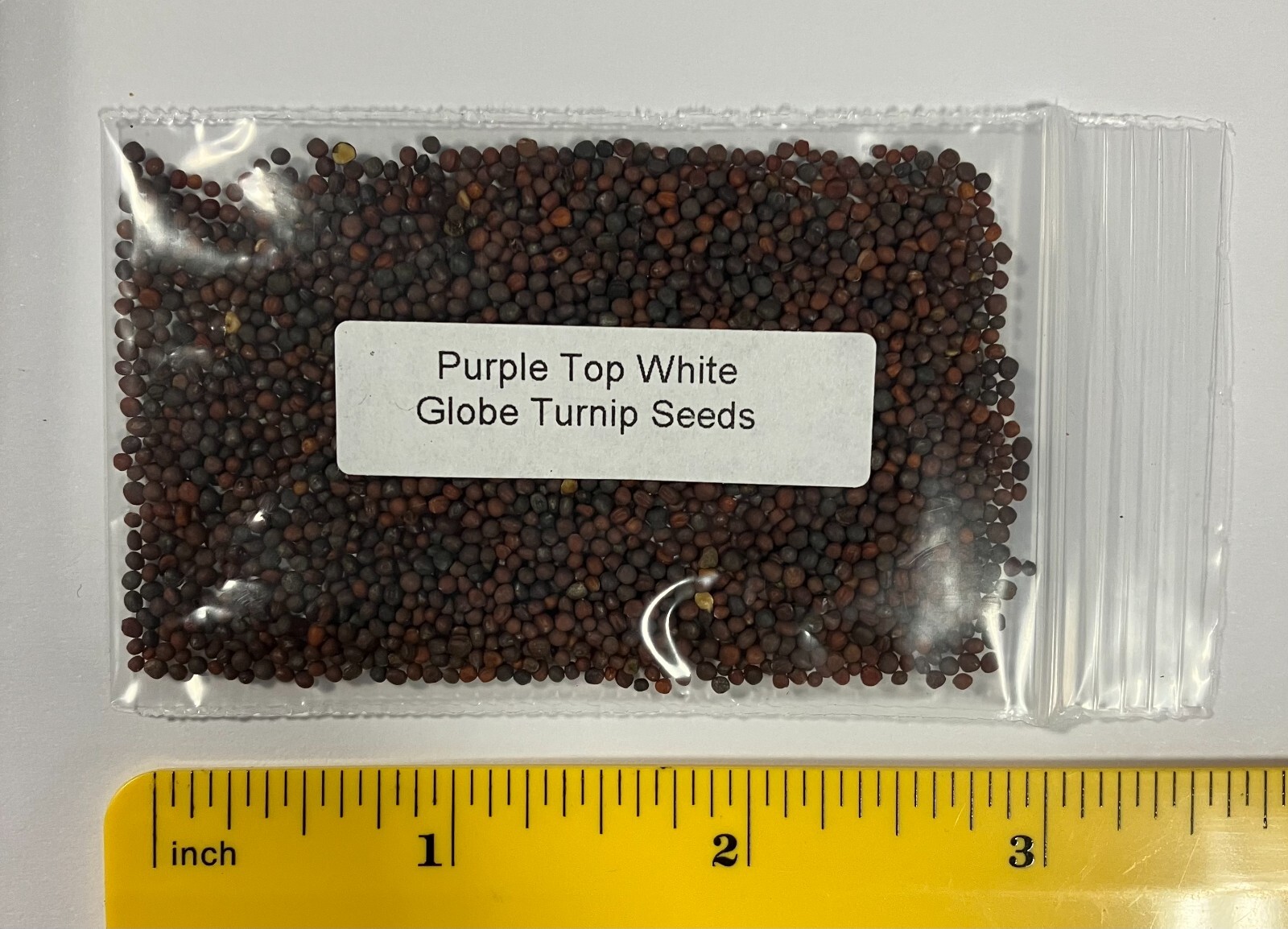 Purple Top Turnip Seeds Non-GM 1500+ seeds