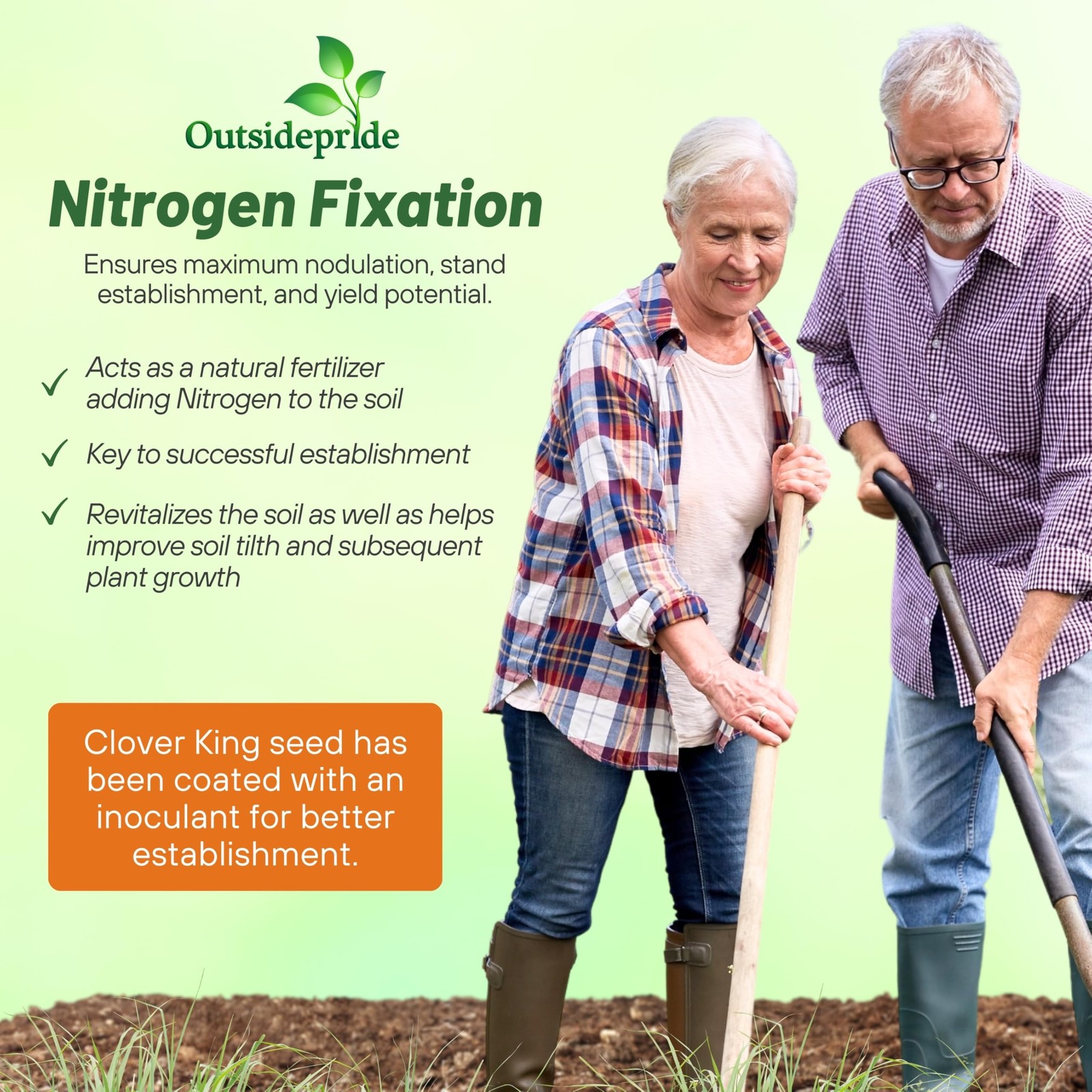 Outsidepride Perennial Clover King Seed Mix – 5 Lbs Nitrocoated Inoculated Heat