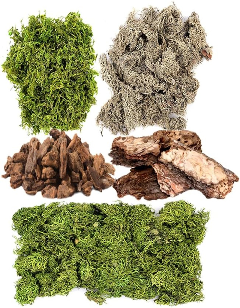 (23210) Moss Mix – Premium Decorative Moss for Crafts, Terrariums, Wedding & Tab