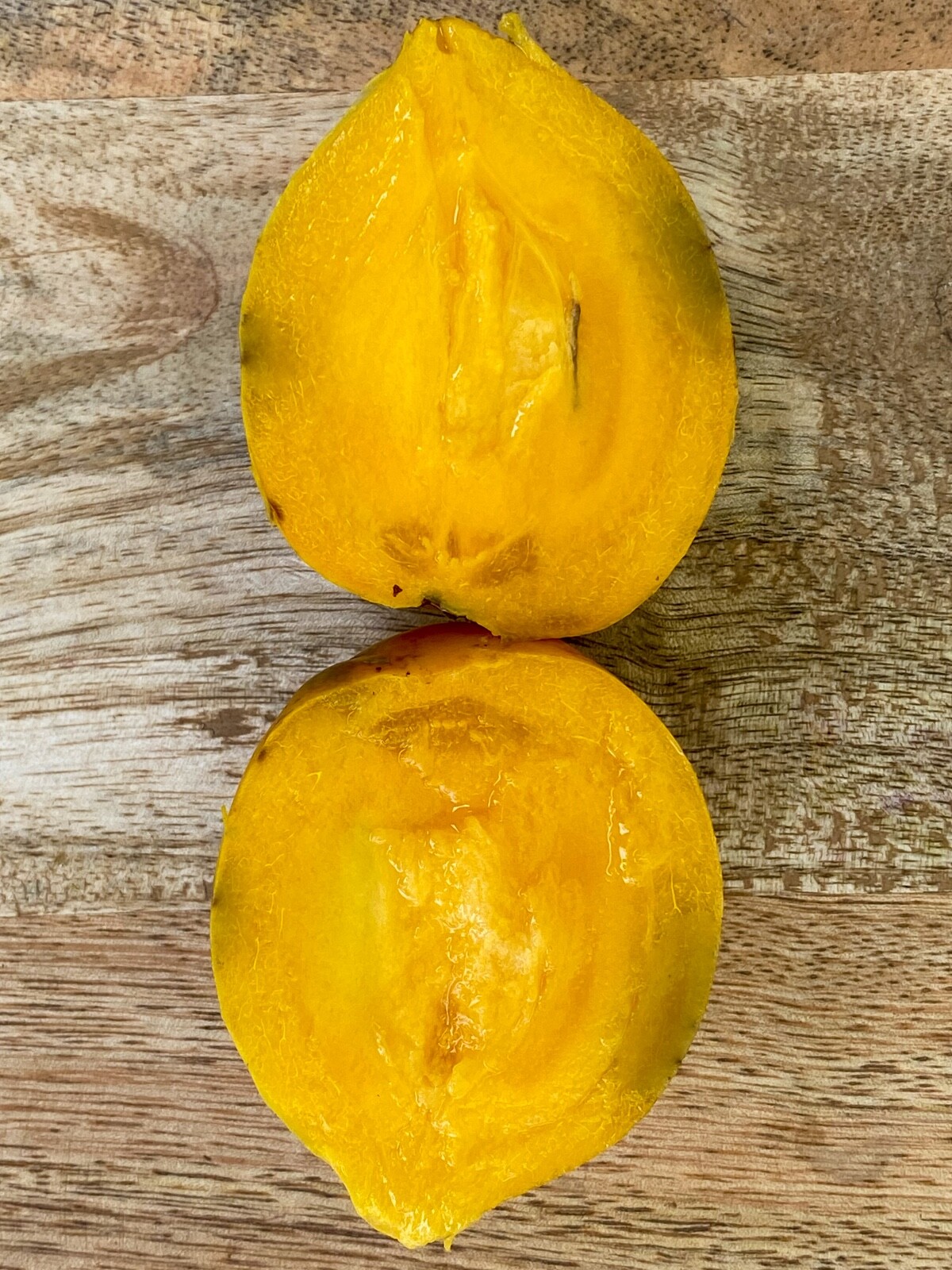 Gamboge Gourka Yellow Mangosteen Garcinia Xanthochymus Fruit Tree Potted Plant