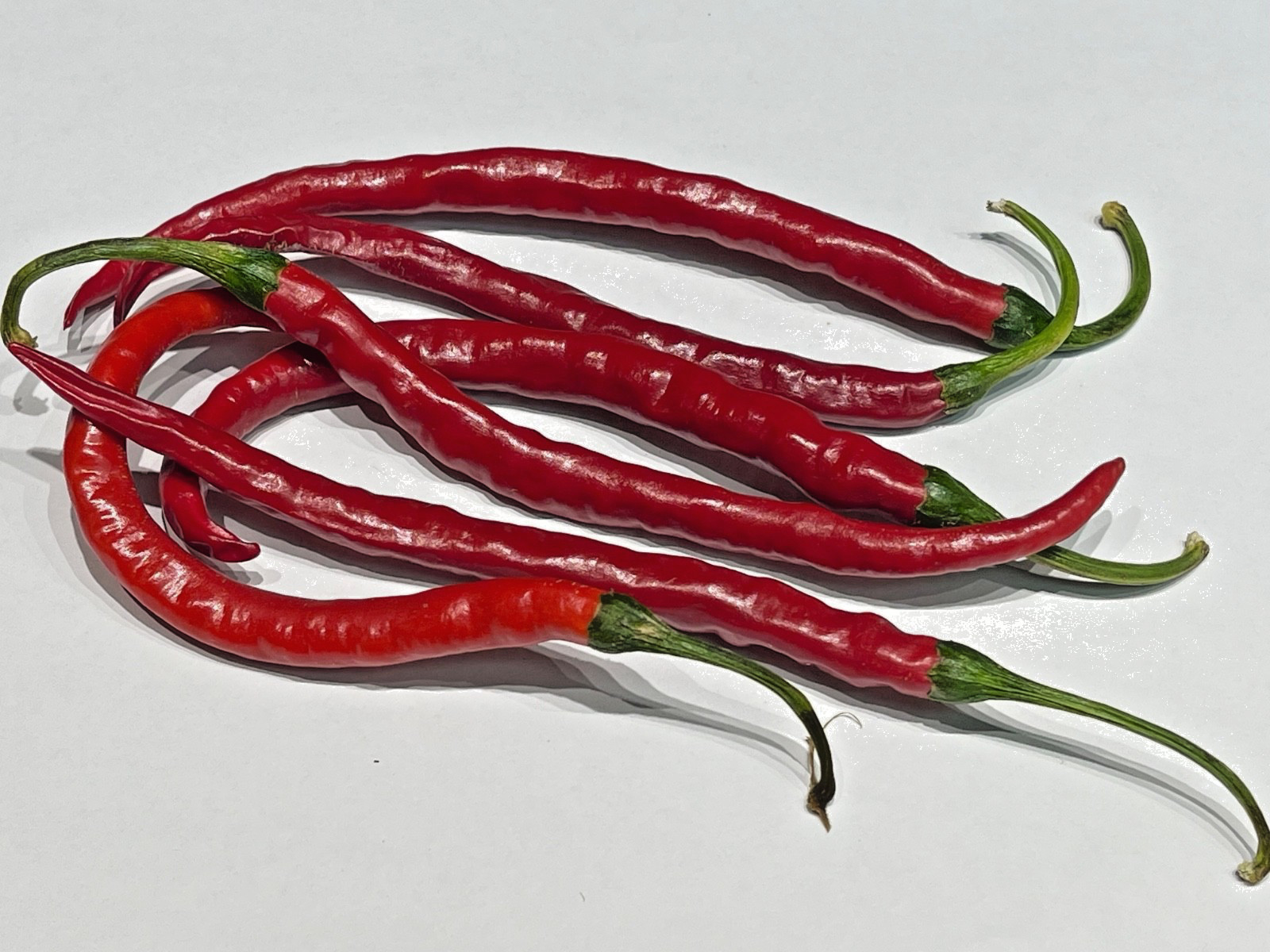 Thai Dragon Pepper Seeds – Fresh for 2026 – 25+ Seeds – Non-GMO