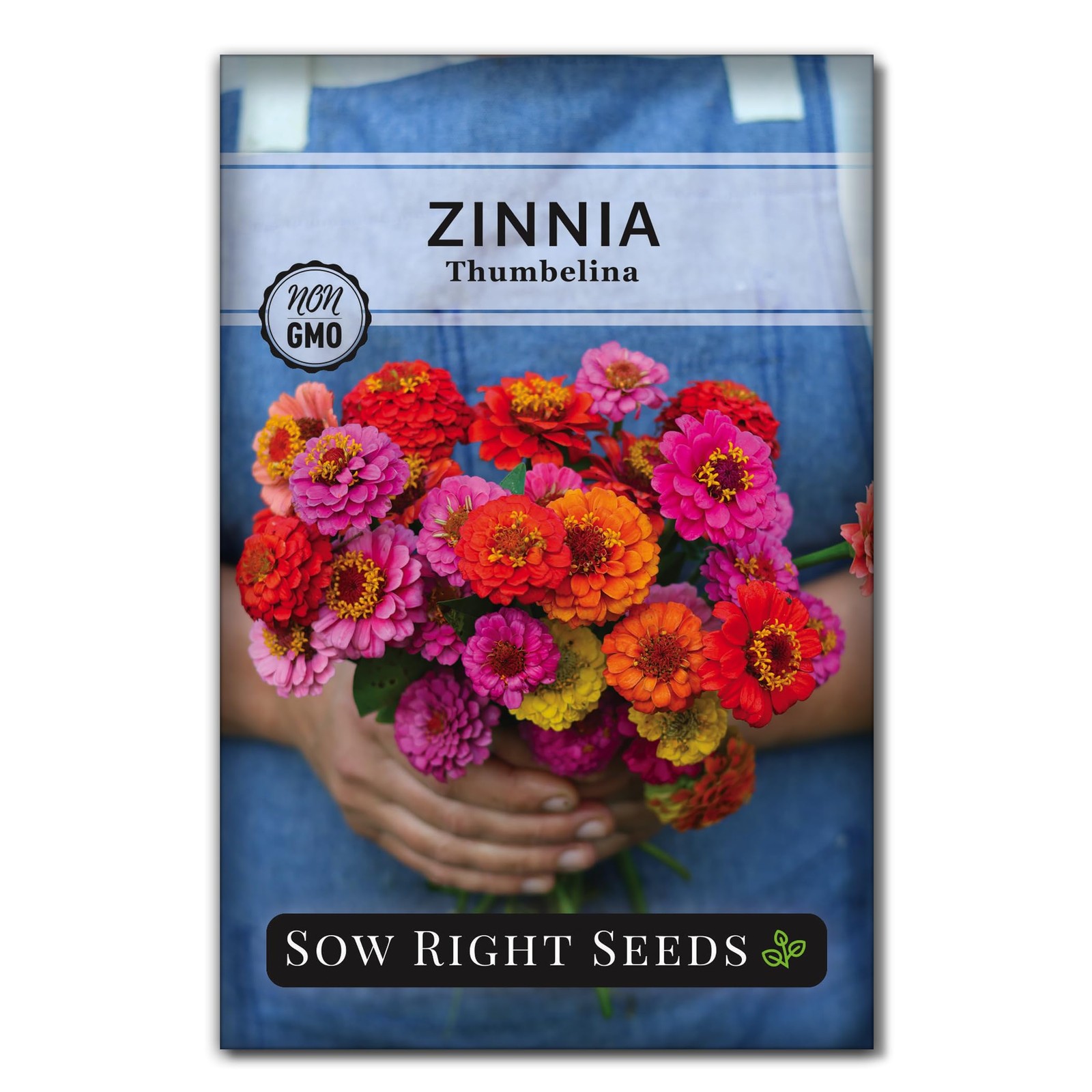 Sow Right Seeds – Thumbelina Zinnia for Planting – Beautiful to Mix