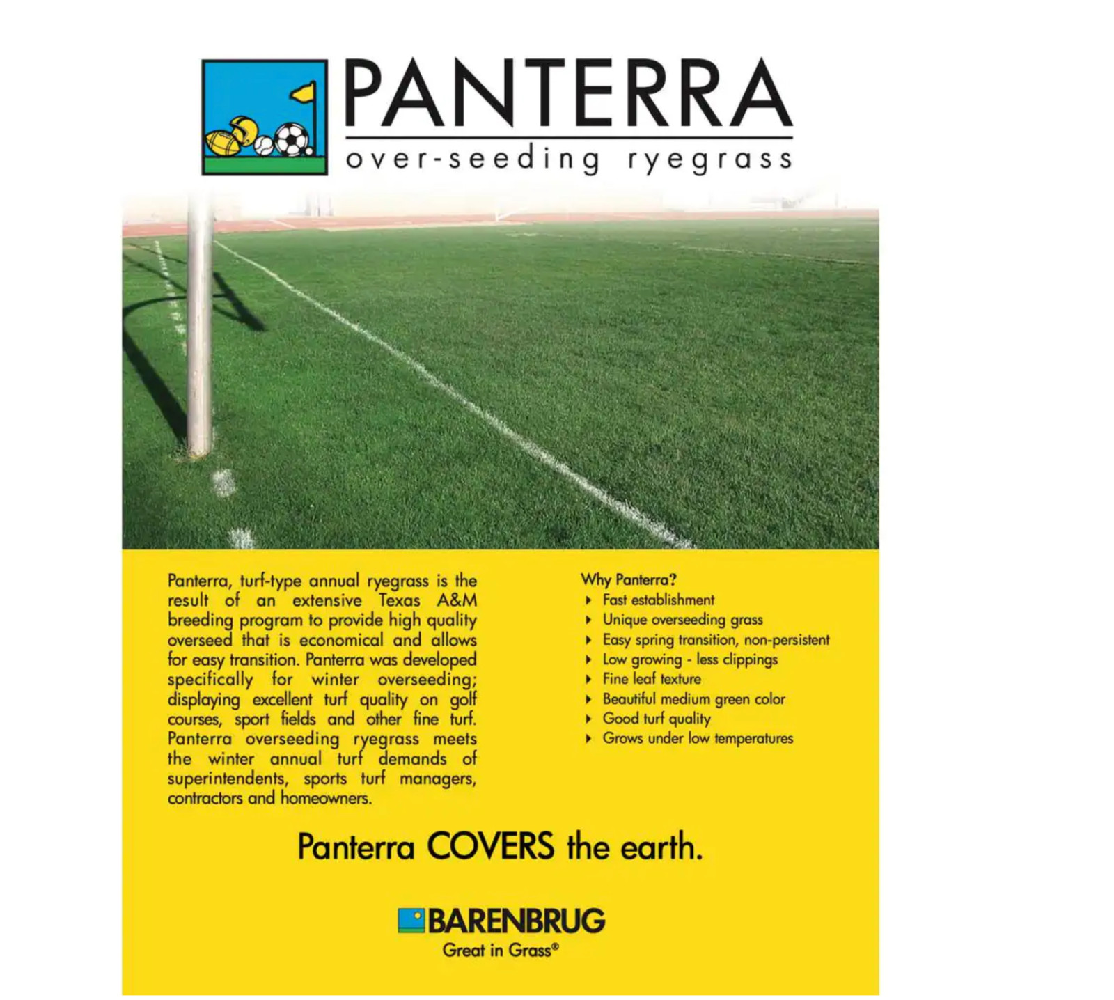 Barenbrug 50 lb. Panterra V Over Seeding Annual Rye Grass Seed Turf Quality