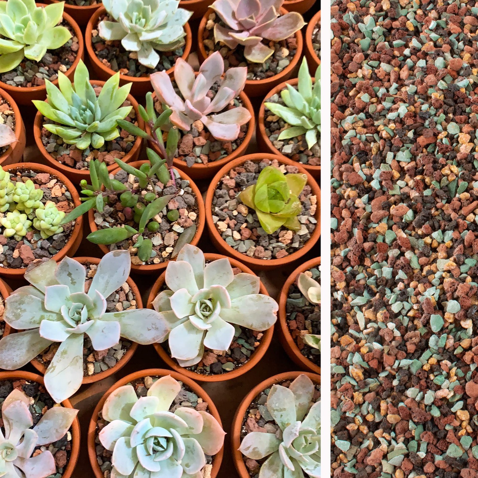 18lb Mix Lava Rocks for Plants in Door -Gravel Pebbles for Bonsai Succulent Cact
