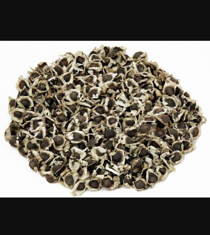 Moringa Oleifera Seeds Organic for planting Non GMO