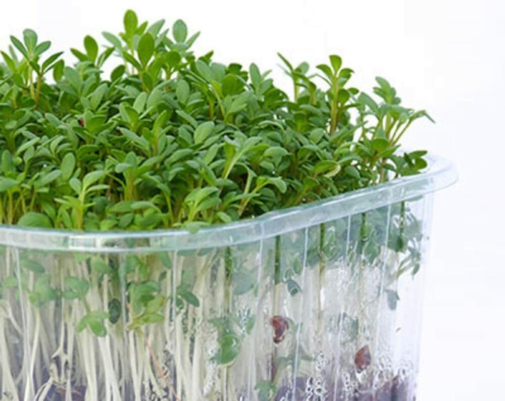 12 oz Cress