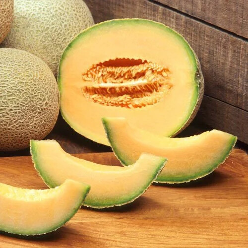 Edisto 47 Cantaloupe Seeds | Heirloom / Non-GMO | Free Shipping | 1051
