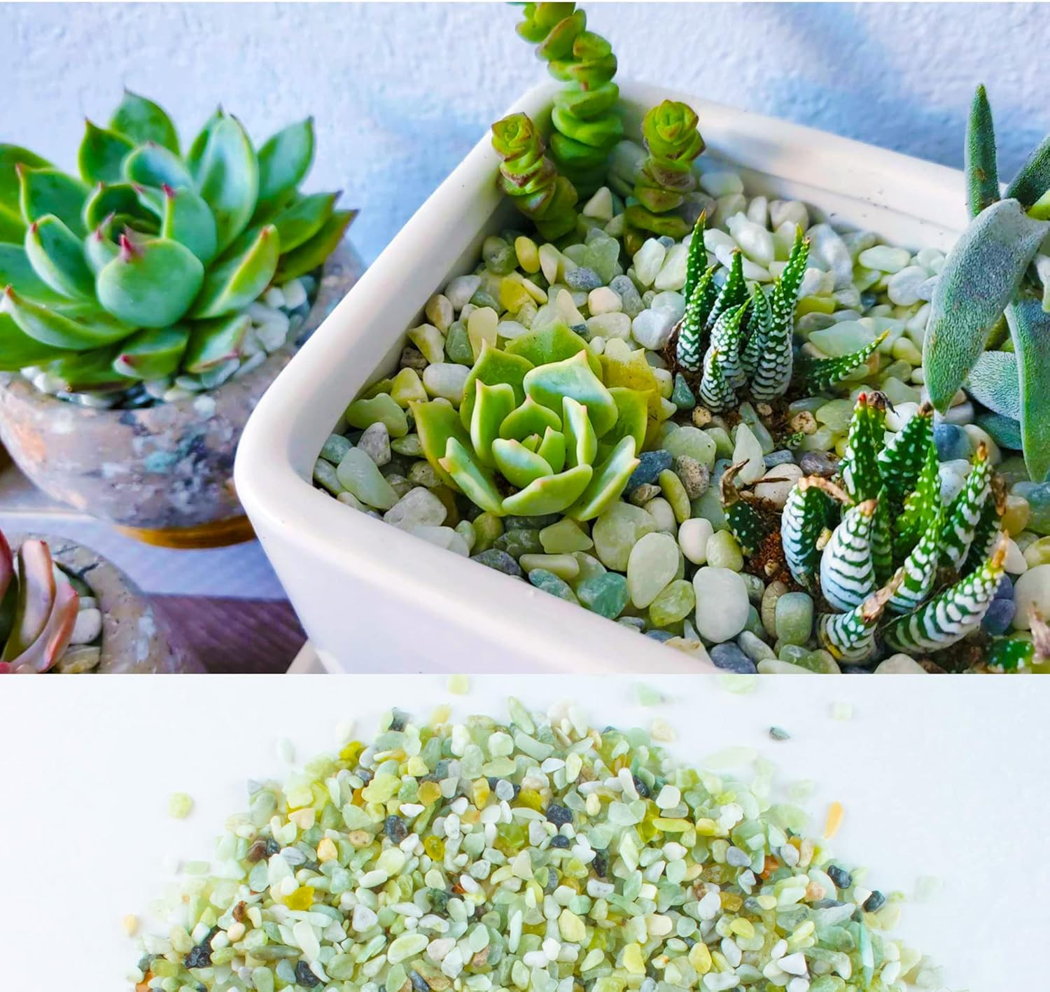 18Lb Jade Bean Pebbles,1/4 Inch Cactus Bonsai DIY Rocks, Natural Succulent Rock