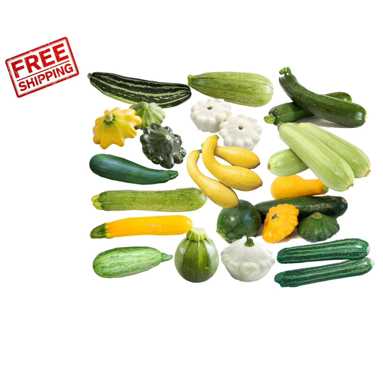 Rare 12 Variety Non-GMO Zucchini & Squash Seed Mix – 50 Seeds for Every Garden