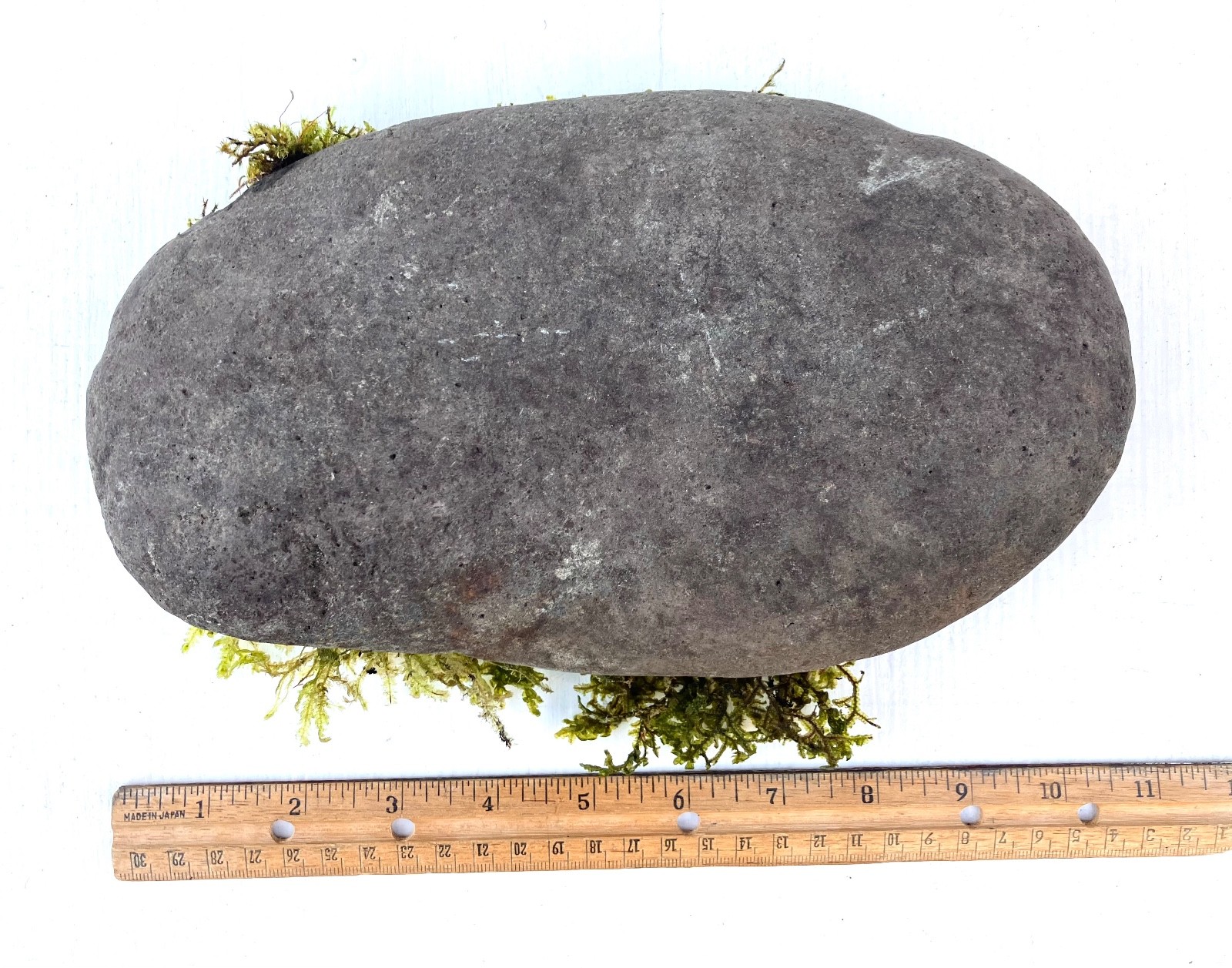 7 lb Living Moss Covered River Rock Terrarium Vivarium Fairy garden Aquascapes