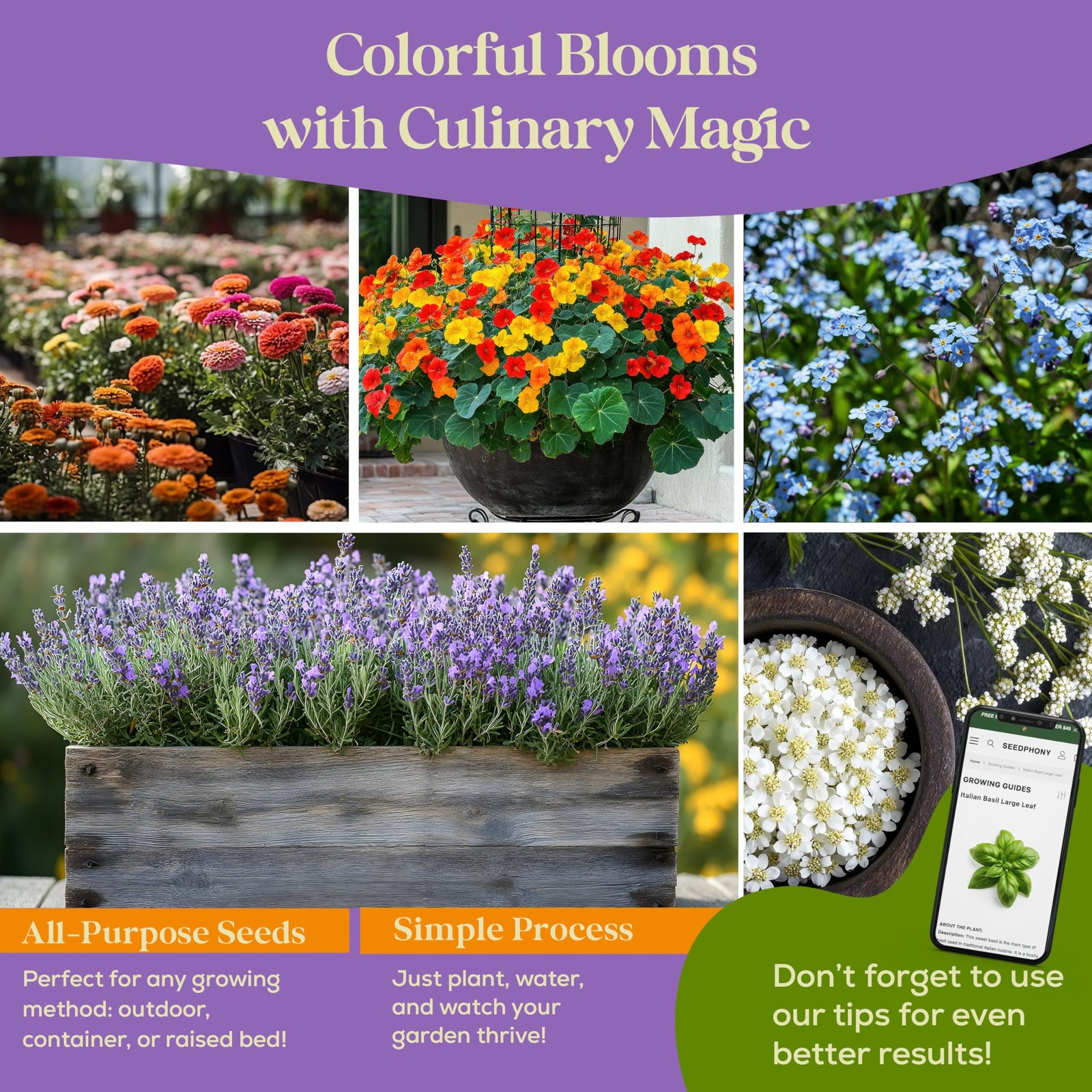 24 Gourmet Culinary Flower Seeds Variety Pack – 7,790+ Non-GMO Heirloom Flowe…
