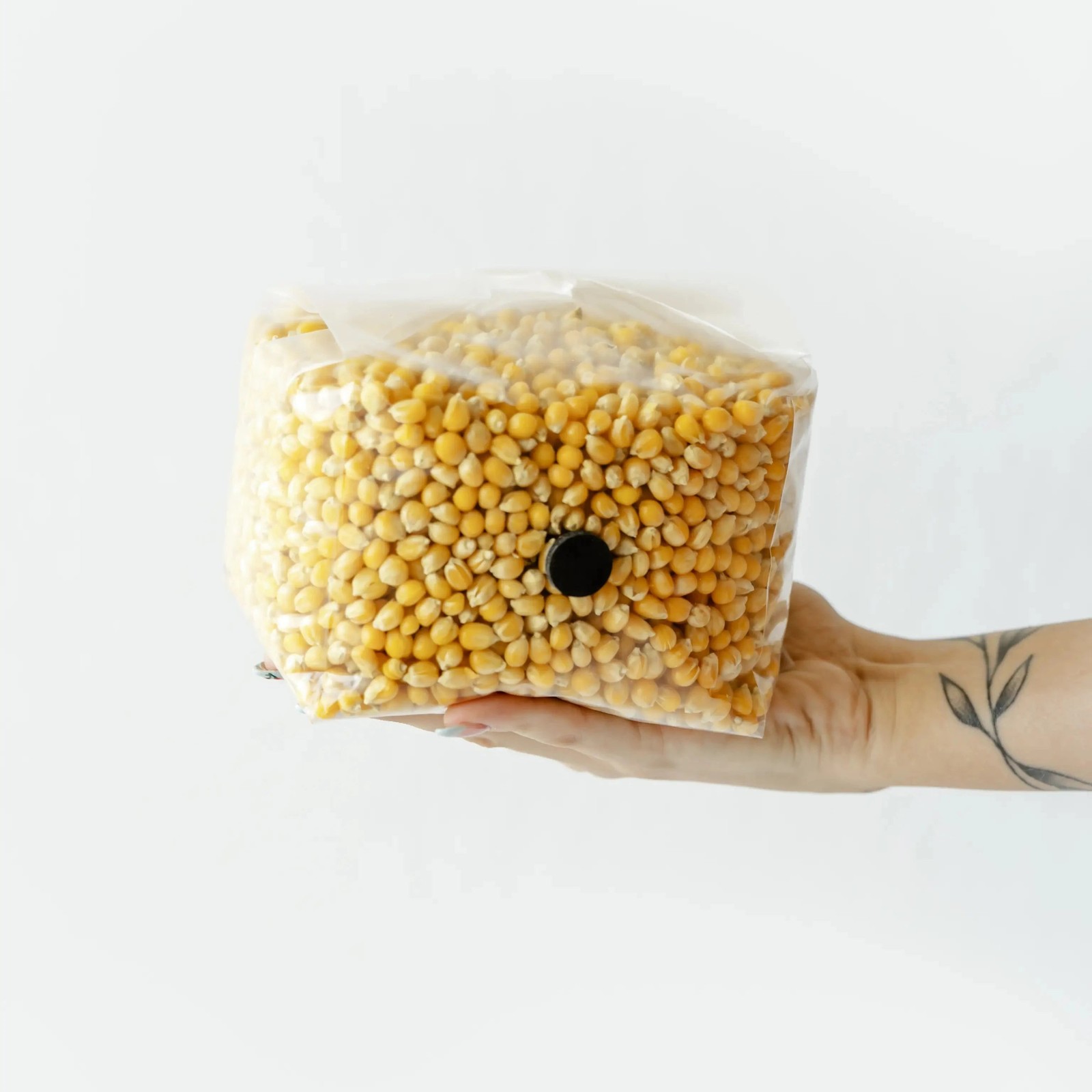 6 Pack | 3lb Drippy Corn Grain Spawn