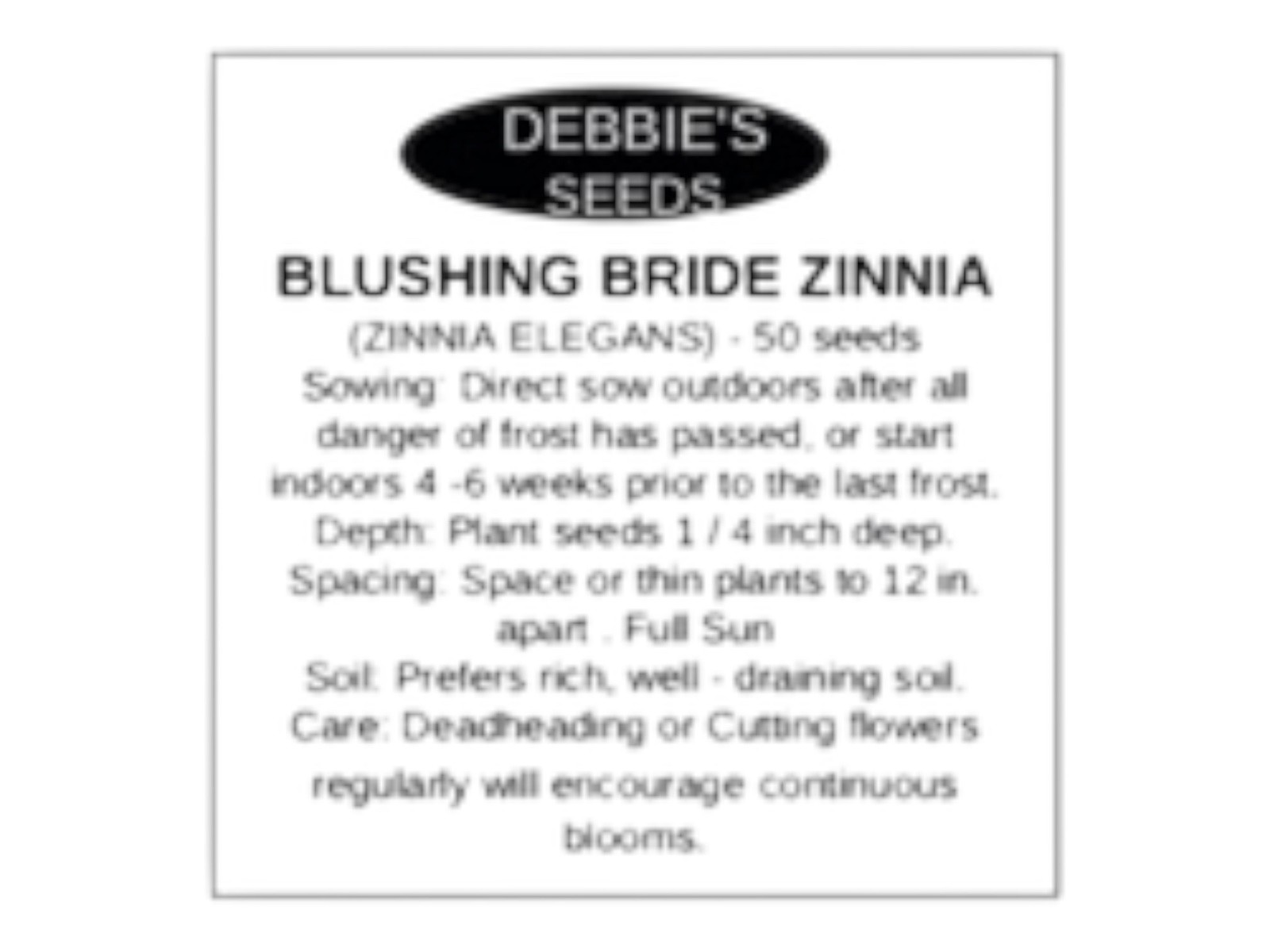 50 Ct. Blushing Bride Zinnia