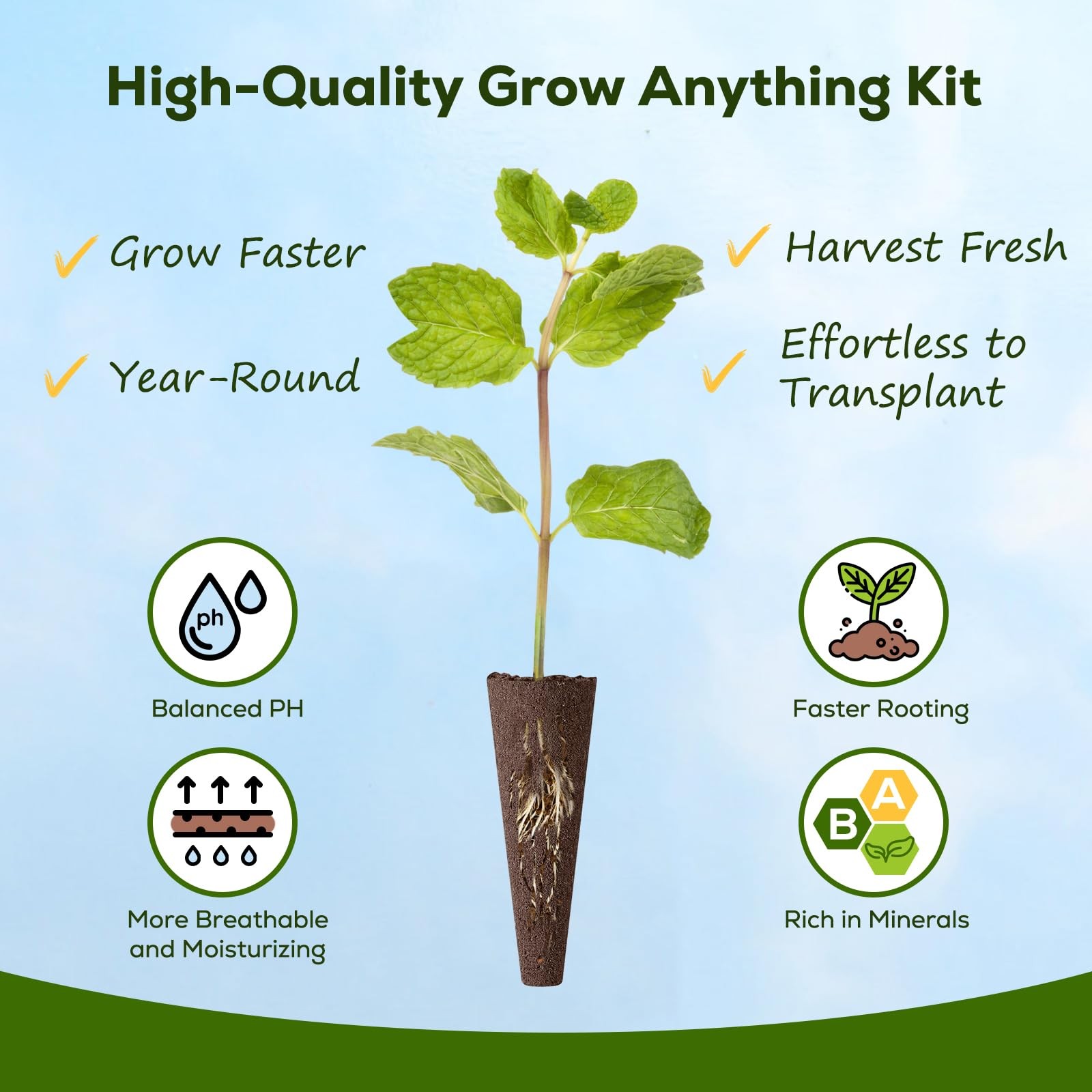 Hydroponic Tomato Seed Kit 12 Pods, 6 Varieties, High Germination Rate