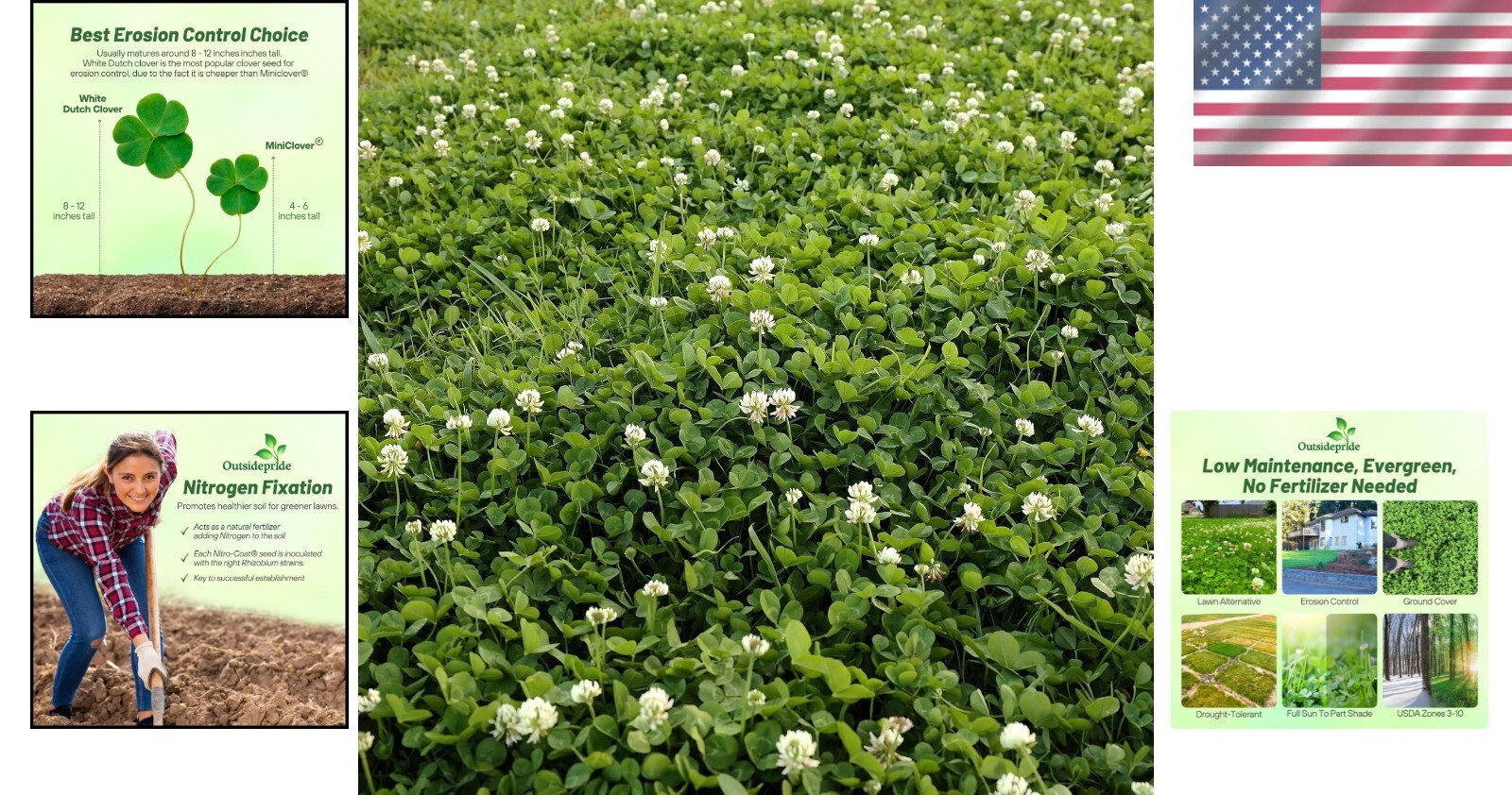 Effortless Germination: 2 lbs Nitrocoated White Clover Seed for Lush Coverage